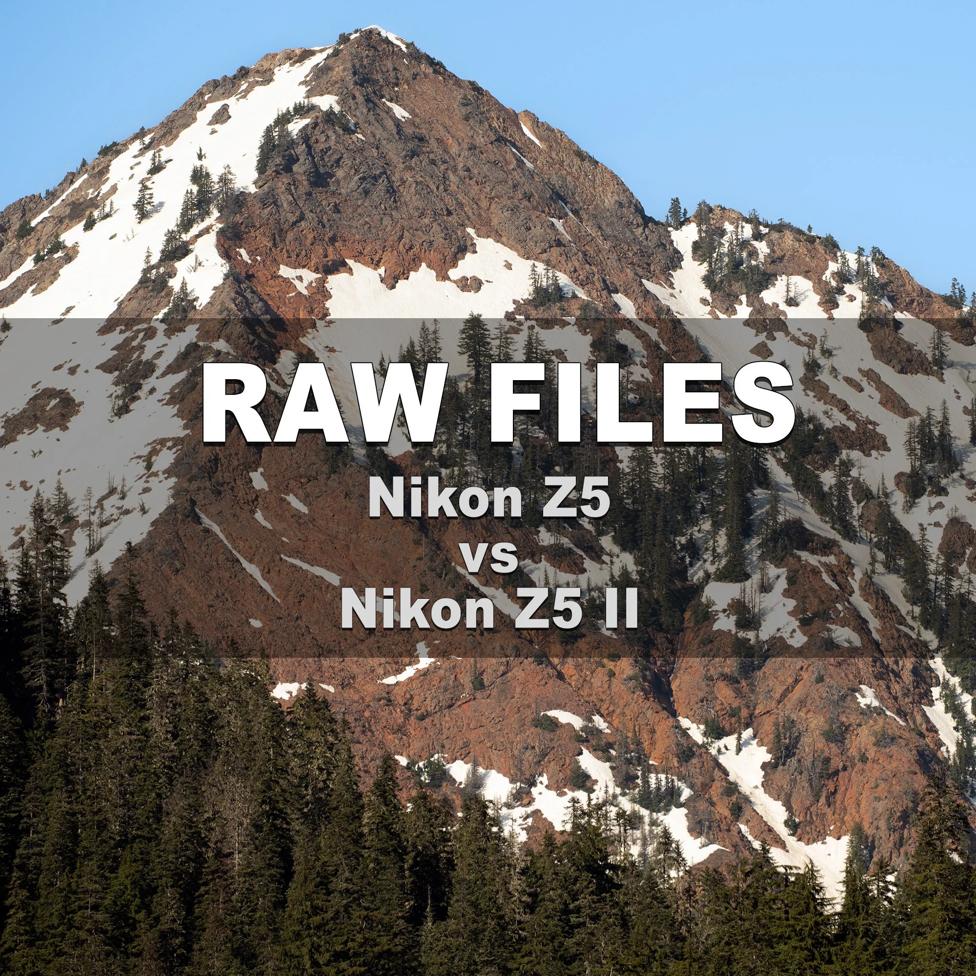 RAW Files (Nikon Z5 vs Nikon Z5 II)