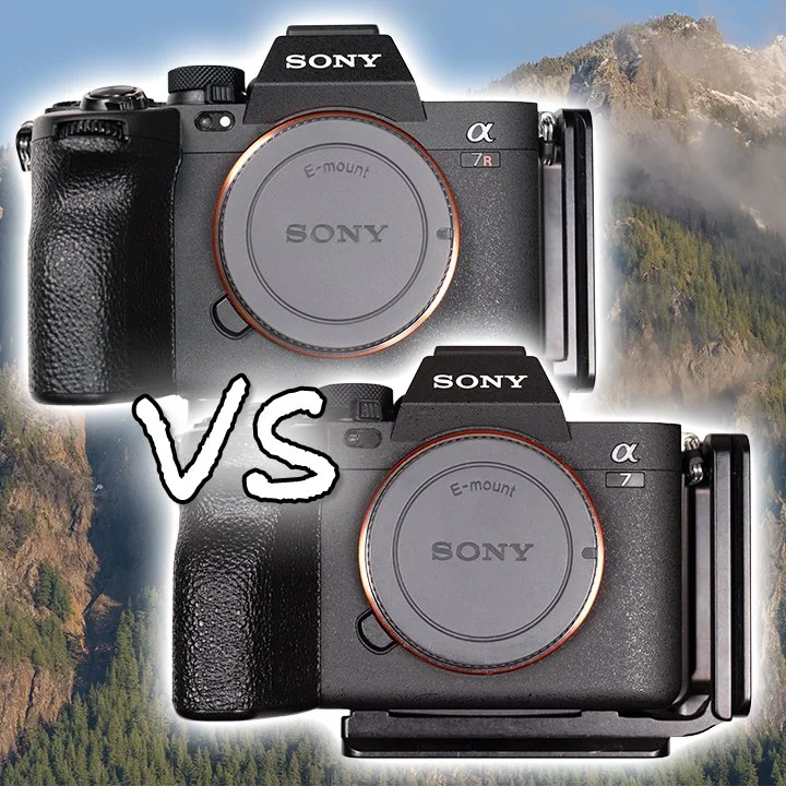 Sony A7RV vs Sony A7IV - Image Quality Review