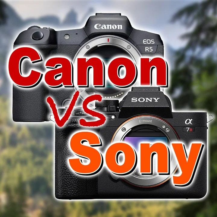 Canon R5 vs Sony A7RV - Image Quality Review