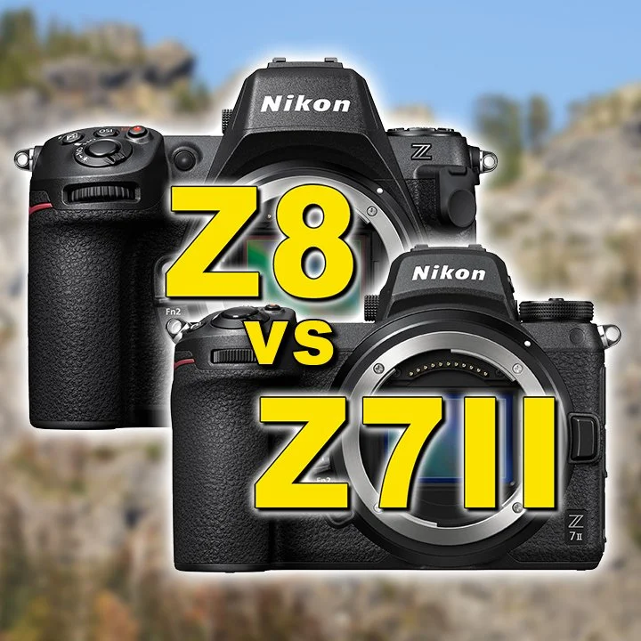 Nikon Z8 vs Nikon Z7 II - Image Quality Review