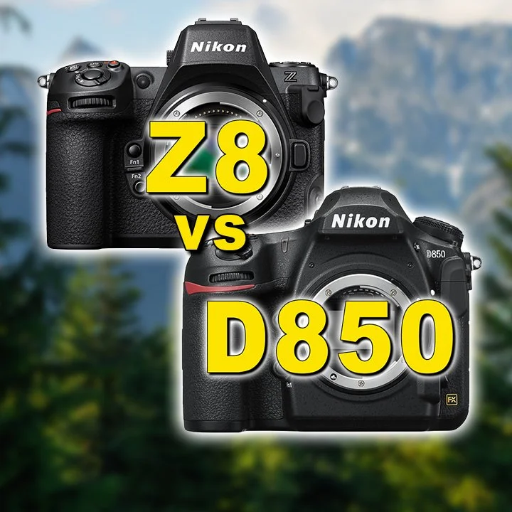 Nikon Z8 vs Nikon D850 - Image Quality Review