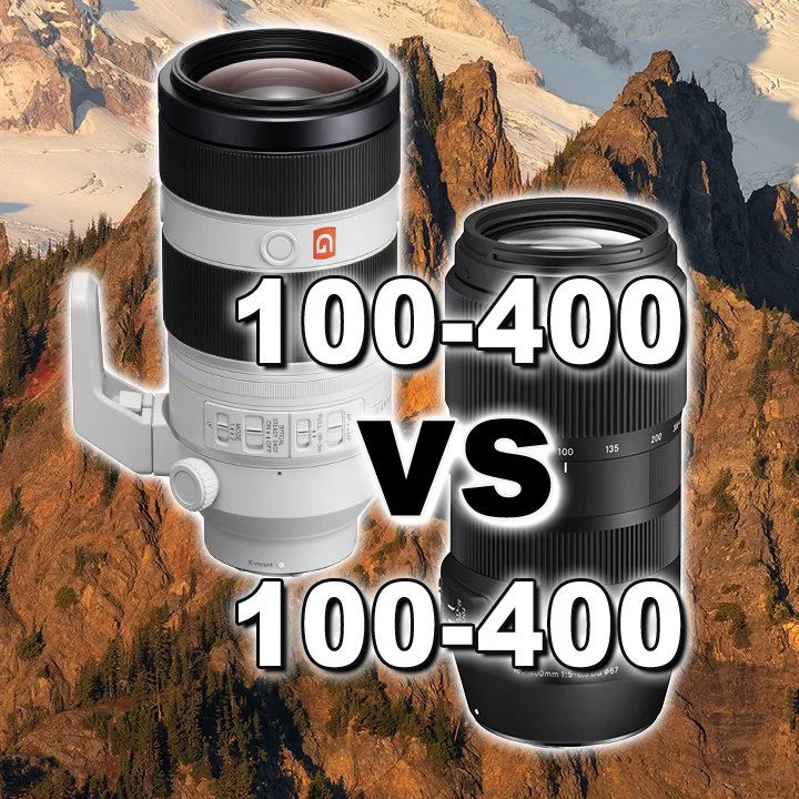 Sony 100-400mm GM vs Sigma 100-400mm - Image Quality Comparison