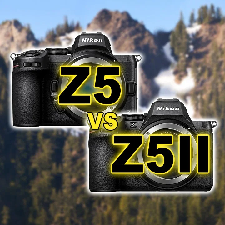 Nikon Z5 vs Nikon Z5 II - Image Quality Comparison