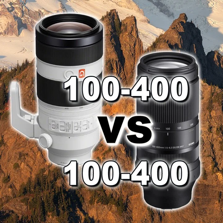 Sony 100-400mm GM vs Sigma 100-400mm DG DN - Image Quality Comparison