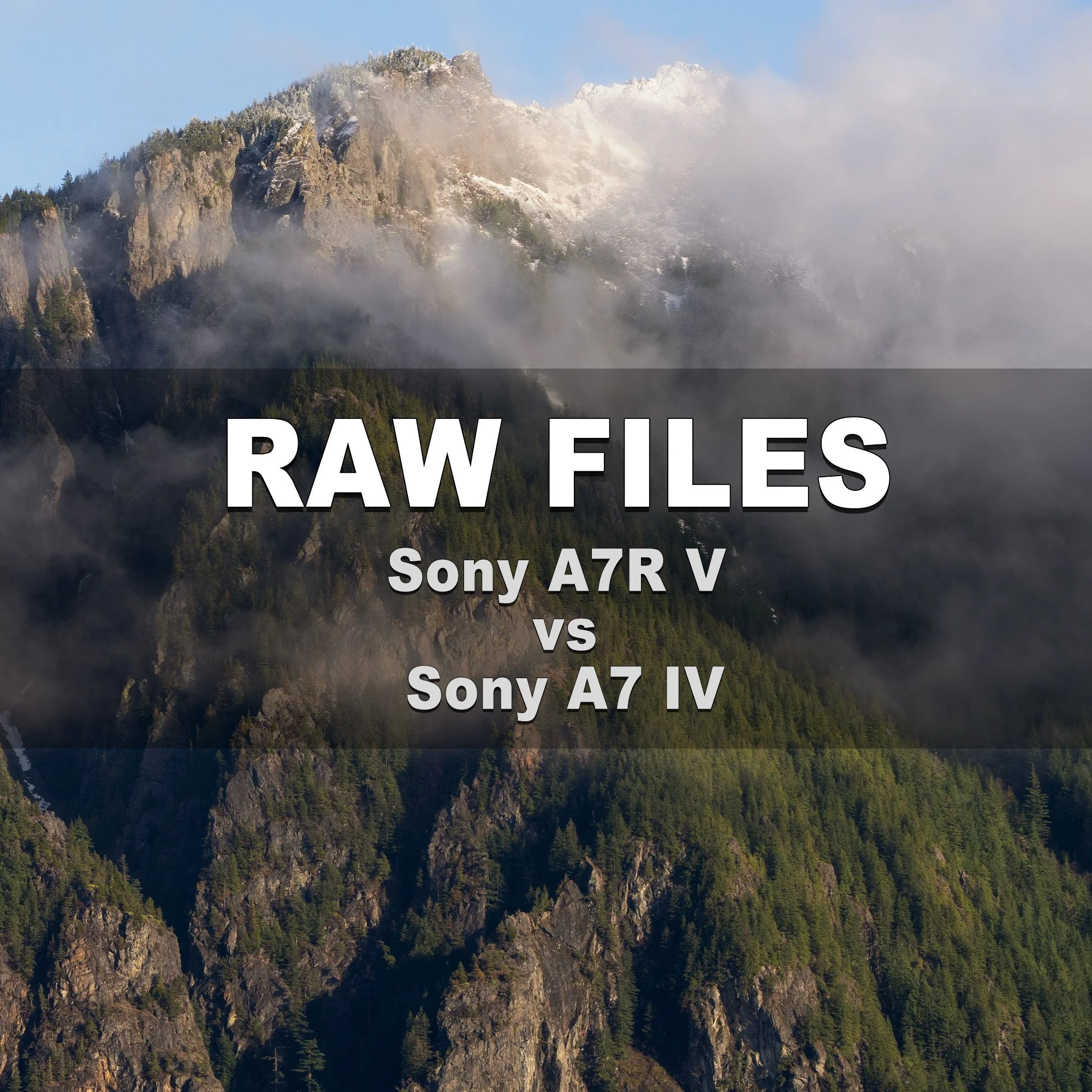 RAW Files (Sony A7R V vs Sony A7 IV)