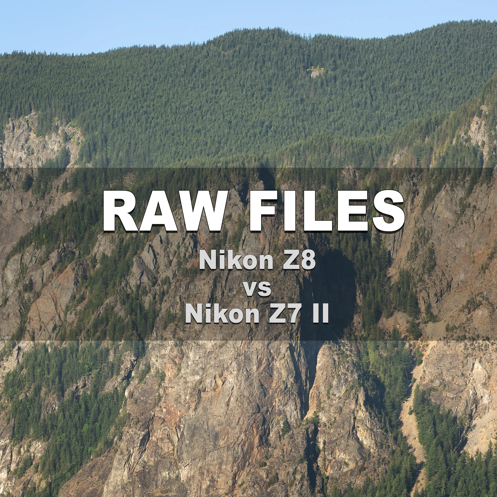 RAW Files (Nikon Z8 vs Nikon Z7 II)