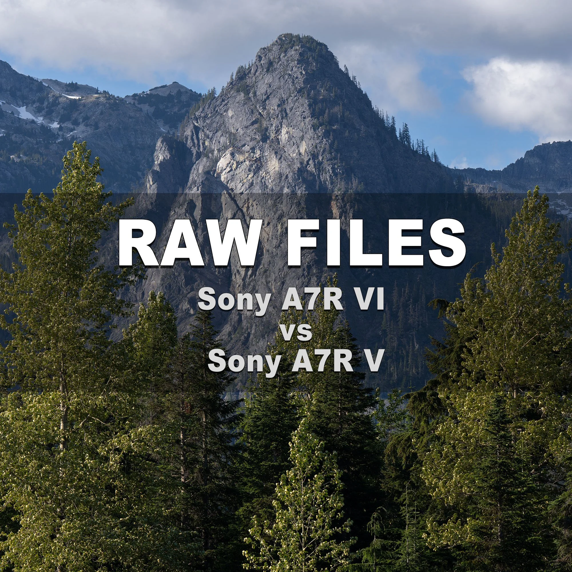 sony-a7rvi-vs-sony-a7rv-raw-file-pack.jpg