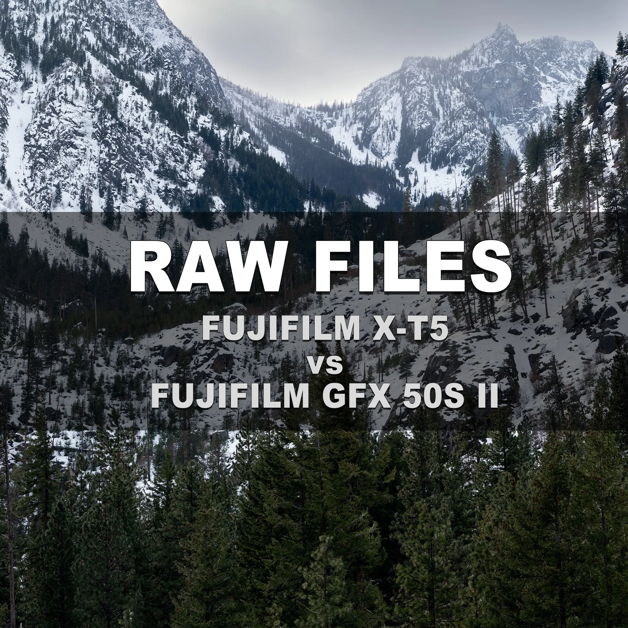 RAW Files (FUJIFILM X-T5 vs FUJIFILM GFX 50S II)