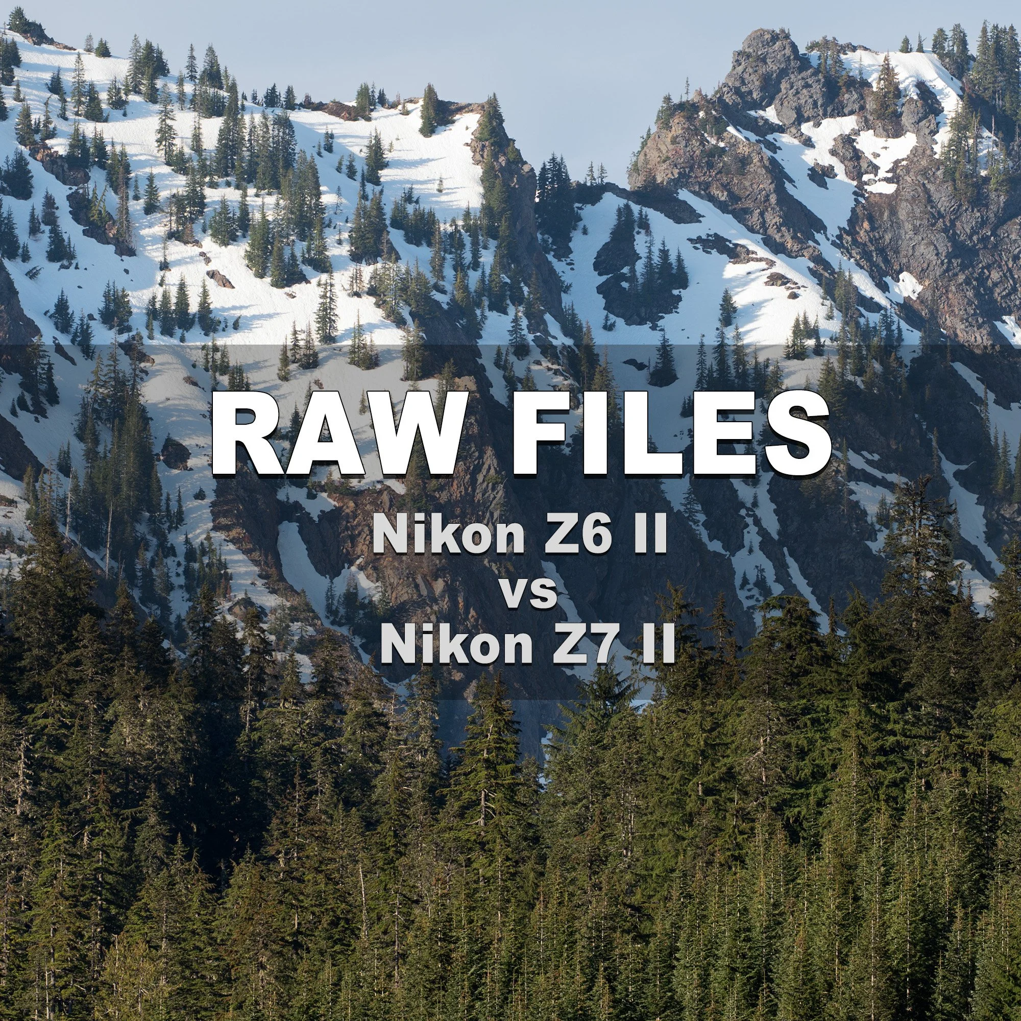 RAW Files (Nikon Z6 II vs Nikon Z7 II)