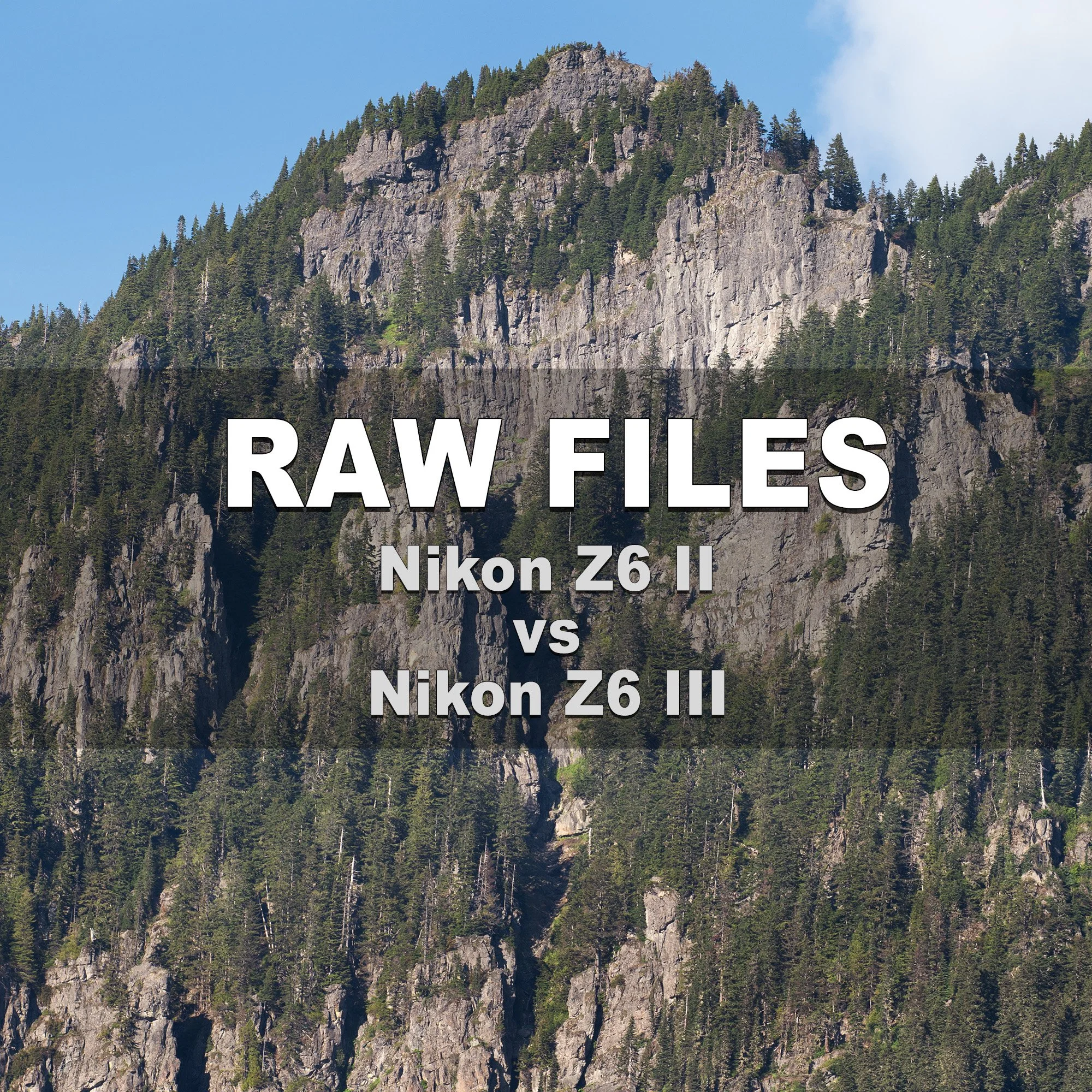 RAW Files (Nikon Z6 II vs Nikon Z6 III)