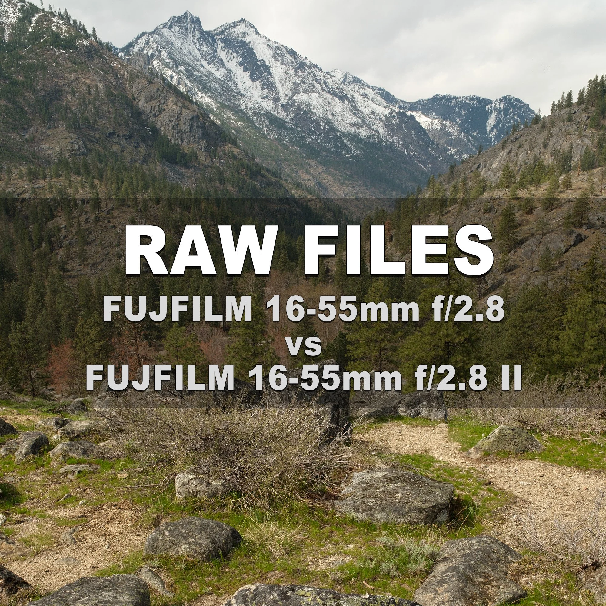 RAW Files (Fujifilm 16-55mm vs Fujifilm 16-55mm II)