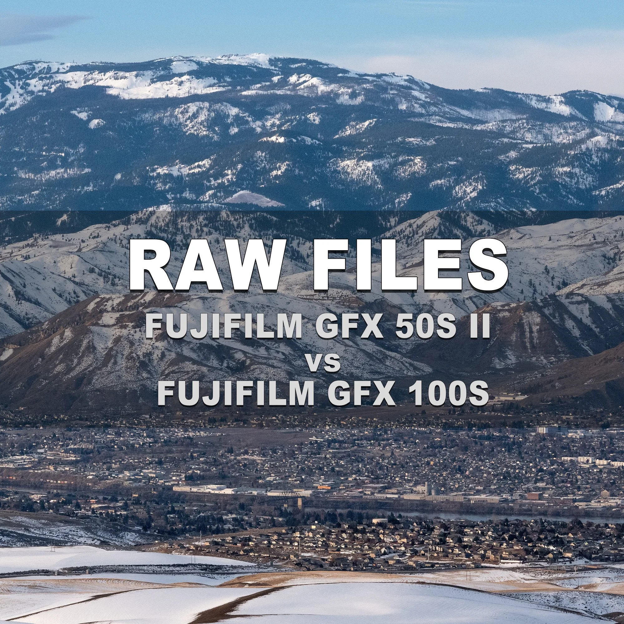 RAW Files (Fujifilm GFX 50S II vs Fujifilm GFX 100S)