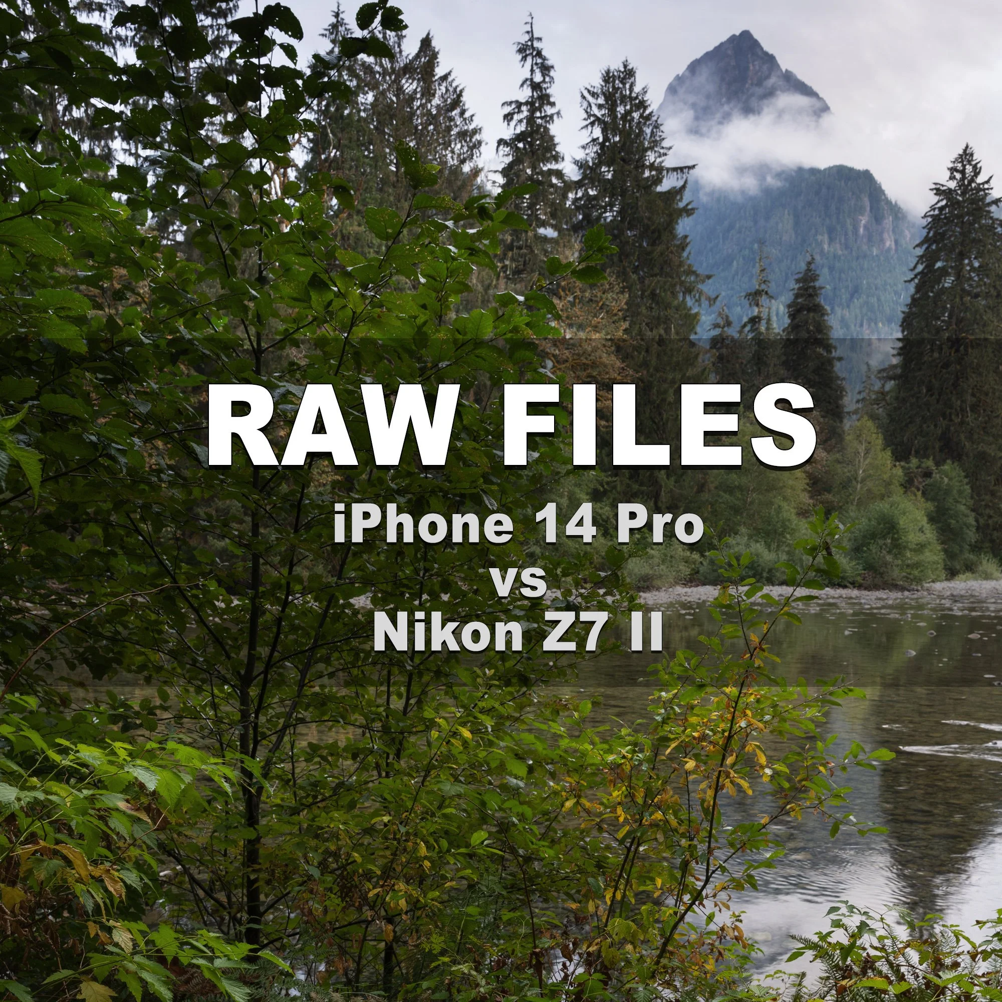 iPhone14Pro-vs-NikonZ7II-raw-files.jpg