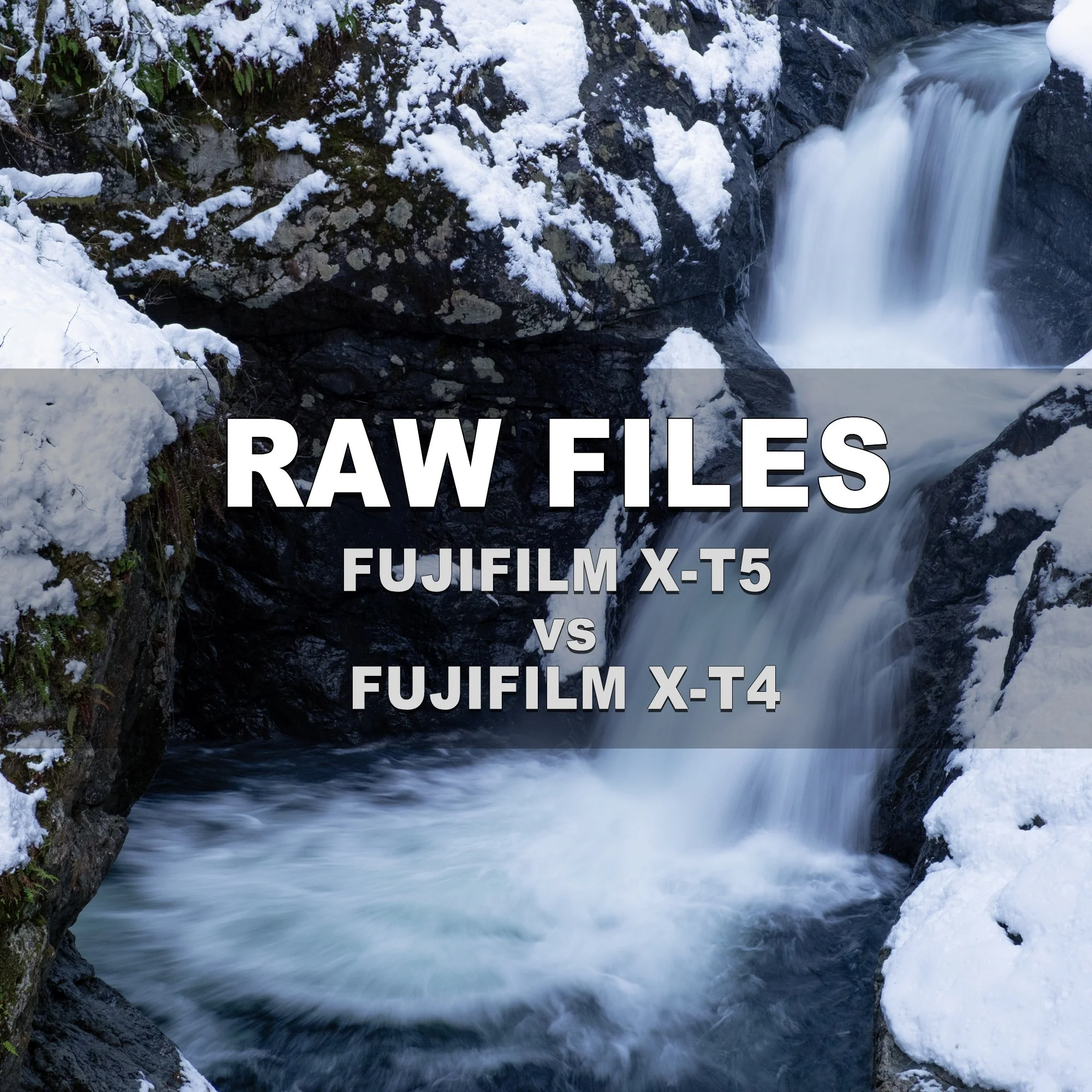 RAW Files (Fujifilm X-T5 vs Fujifilm X-T4)