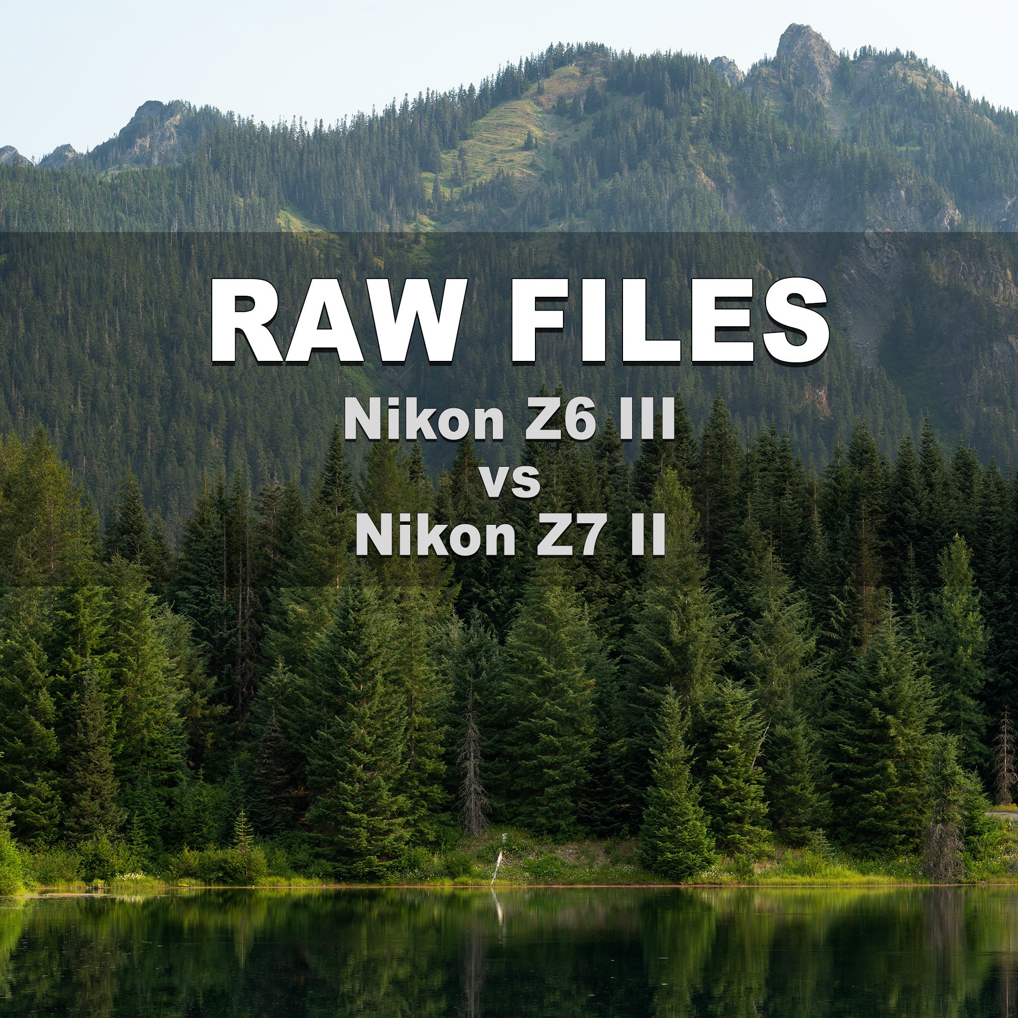 RAW Files (Nikon Z6 III vs Nikon Z7 II)