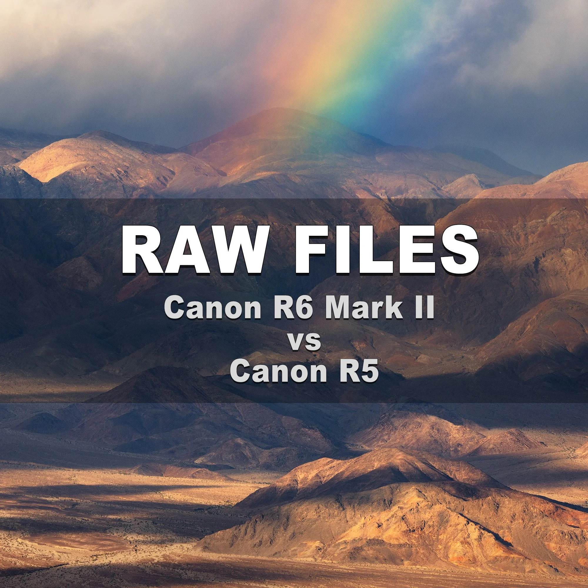 RAW Files (Canon R6 Mark II vs Canon R5)