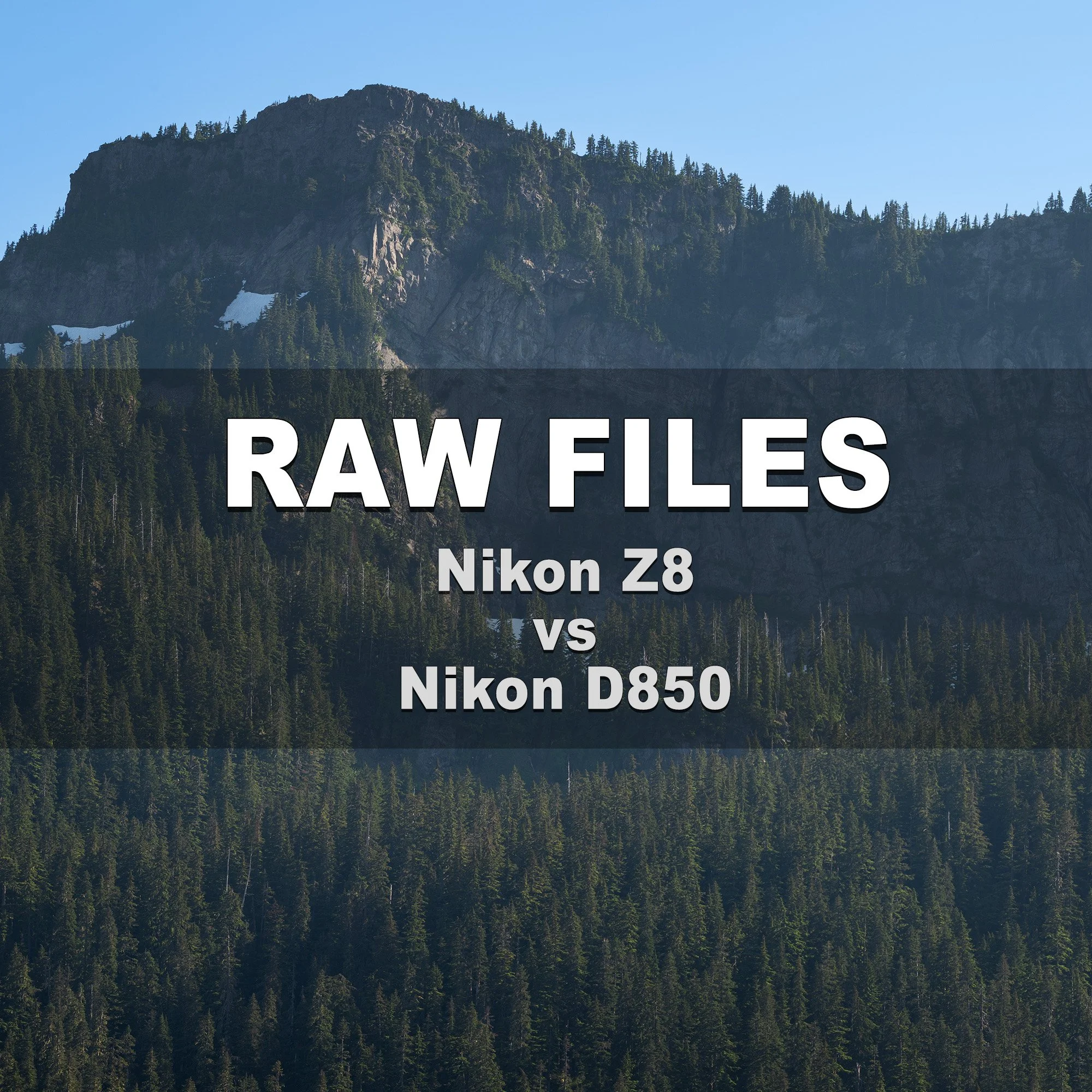 RAW Files (Nikon Z8 vs Nikon D850)