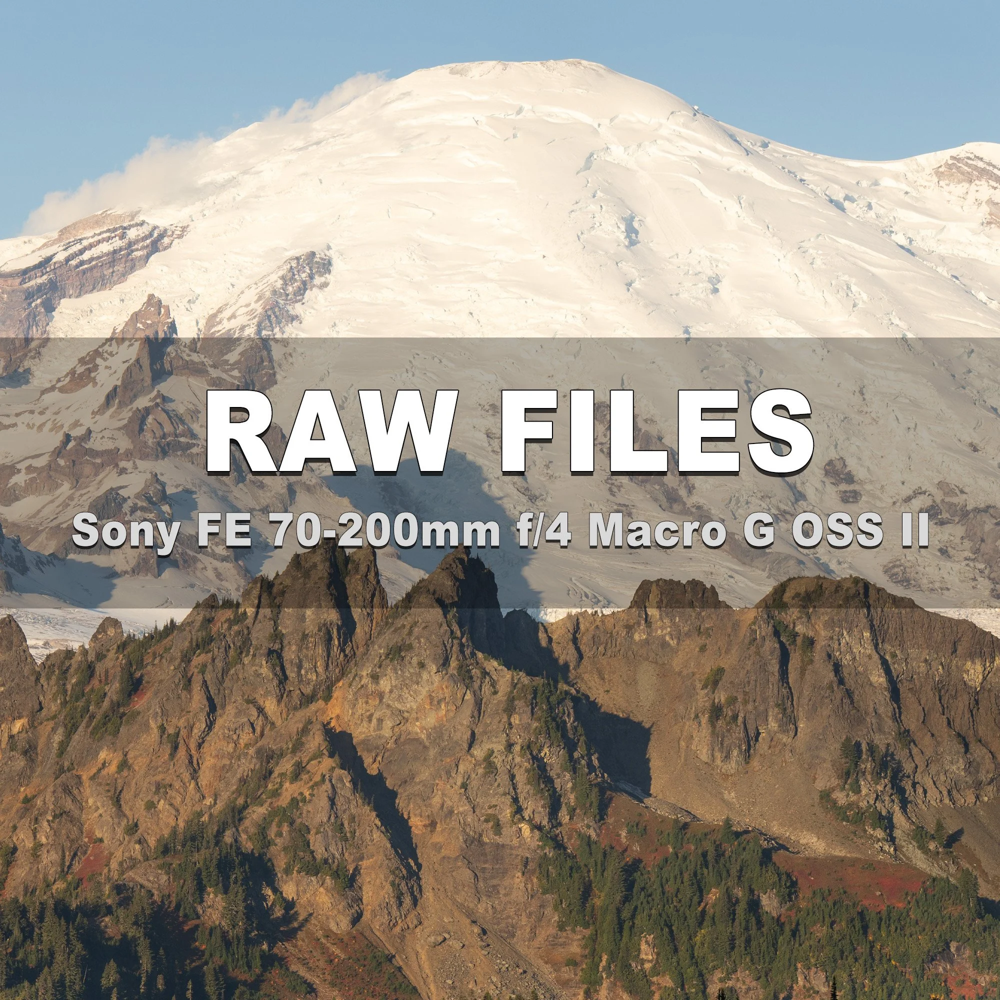 RAW Files (Sony 70-200mm F4 Macro G OSS II)