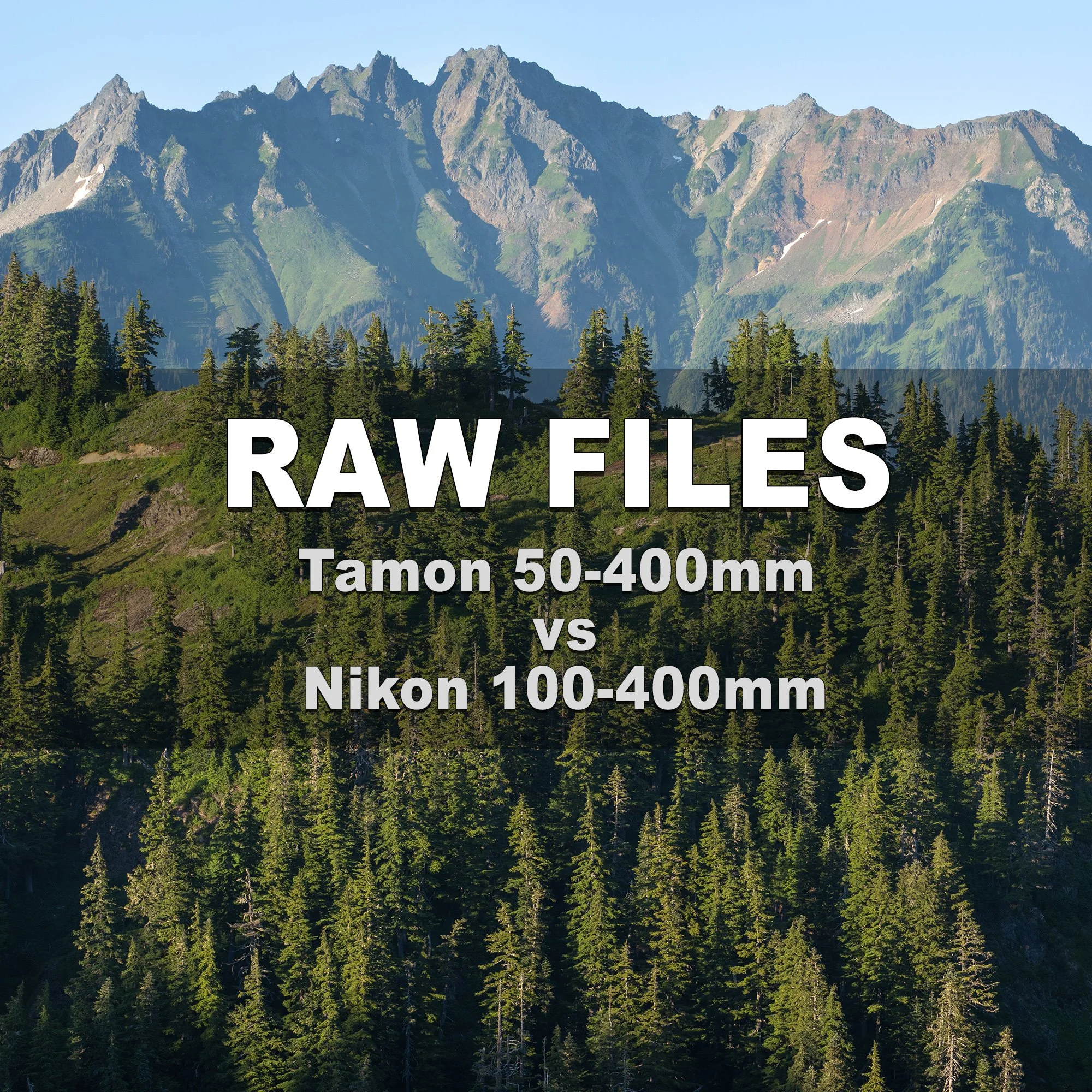 RAW Files (Tamron 50-400mm vs Nikon Z 100-400mm)