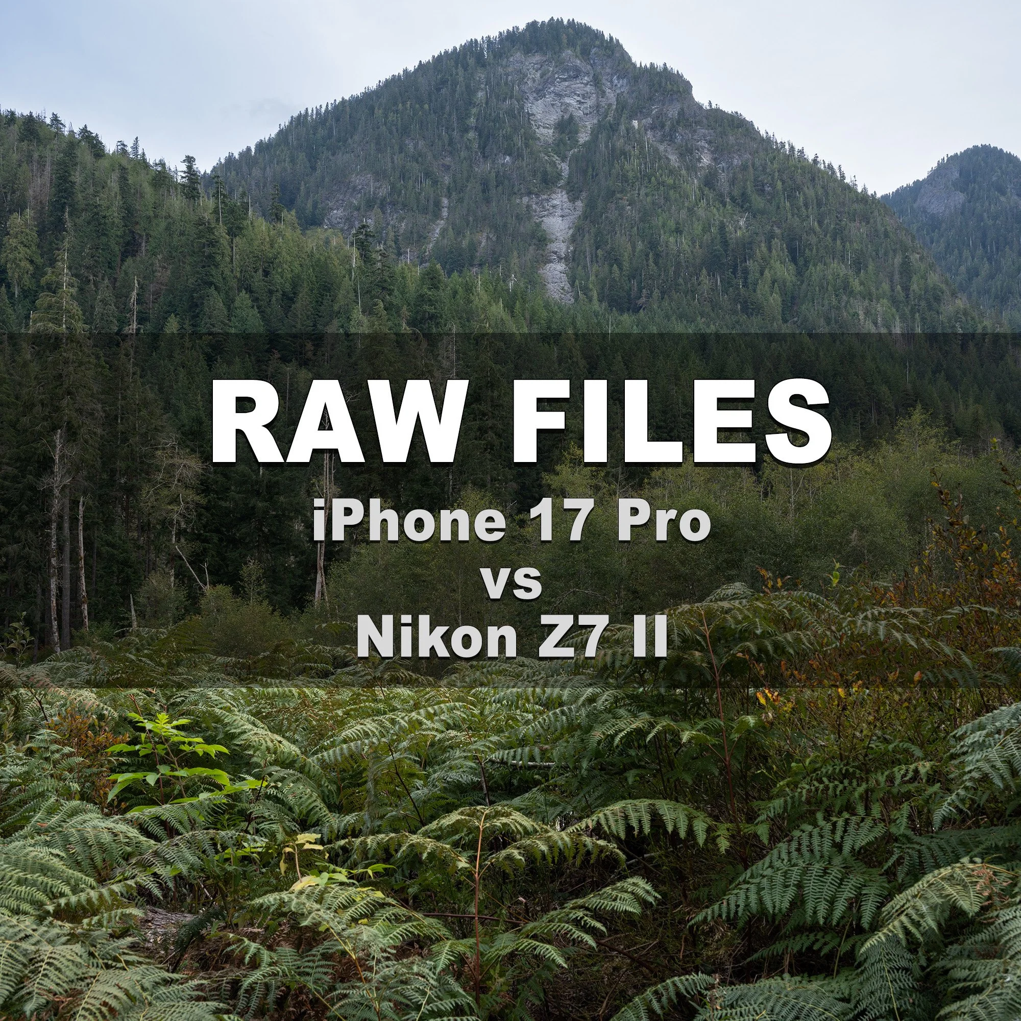 RAW Files (iPhone 17 Pro vs Full Frame Pro Camera)