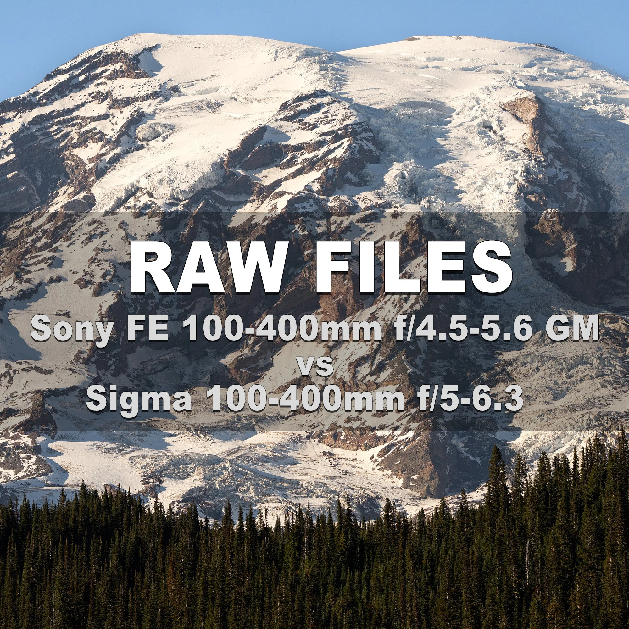 RAW Files (Sony 100-400mm GM vs Sigma 100-400mm)