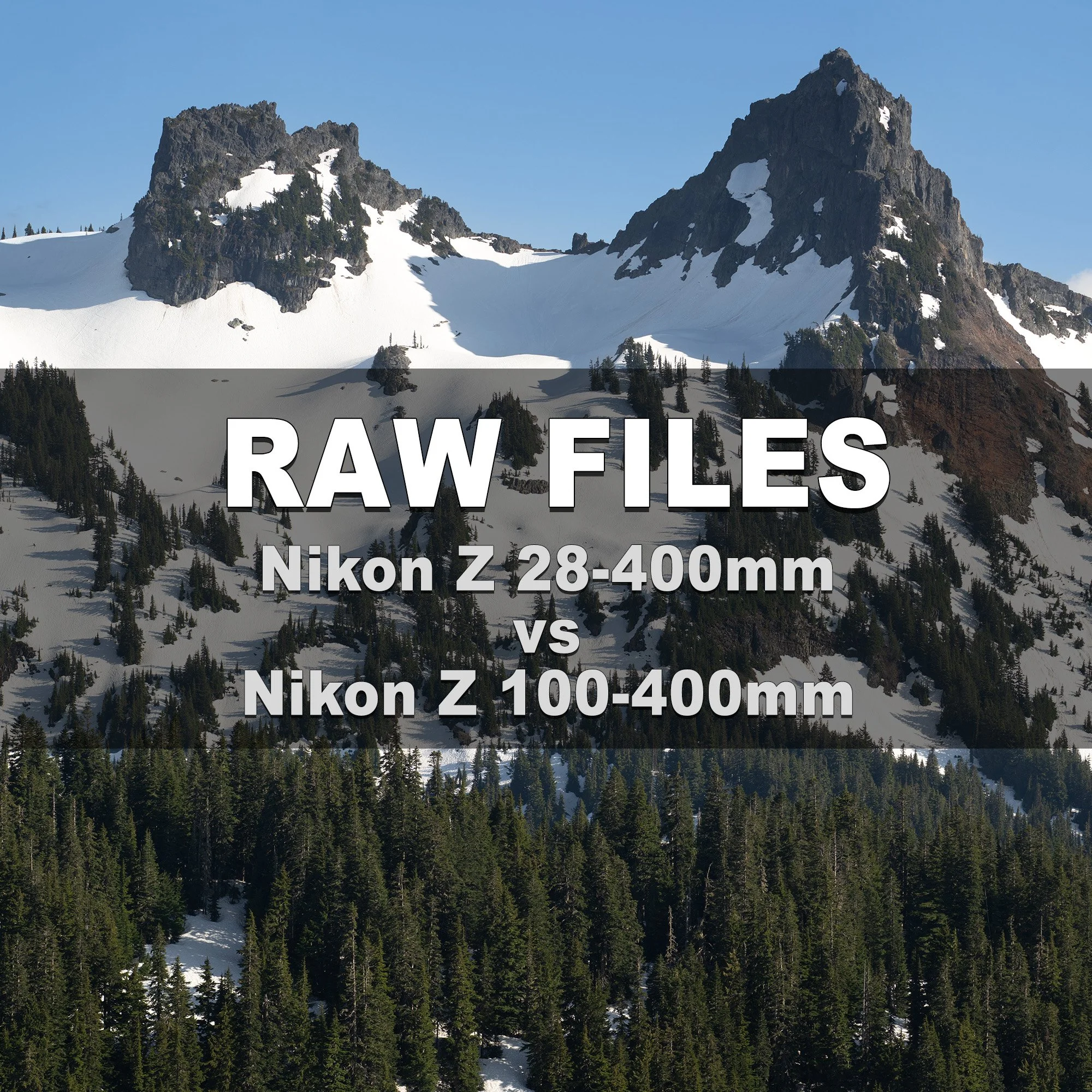 RAW Files (Nikon Z 28-400mm vs Nikon Z 100-400mm)