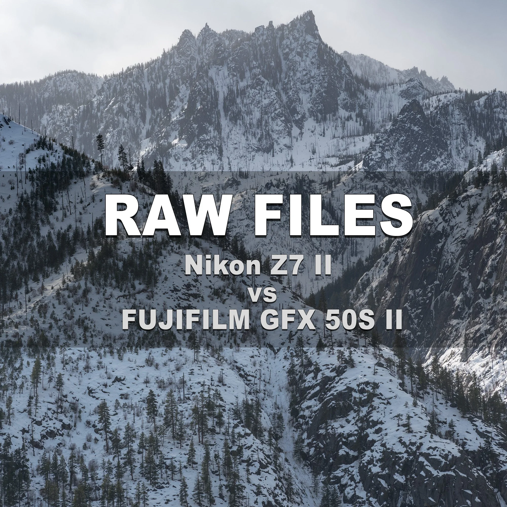 RAW Files (Nikon Z7 II vs Fujifilm GFX 50S II)