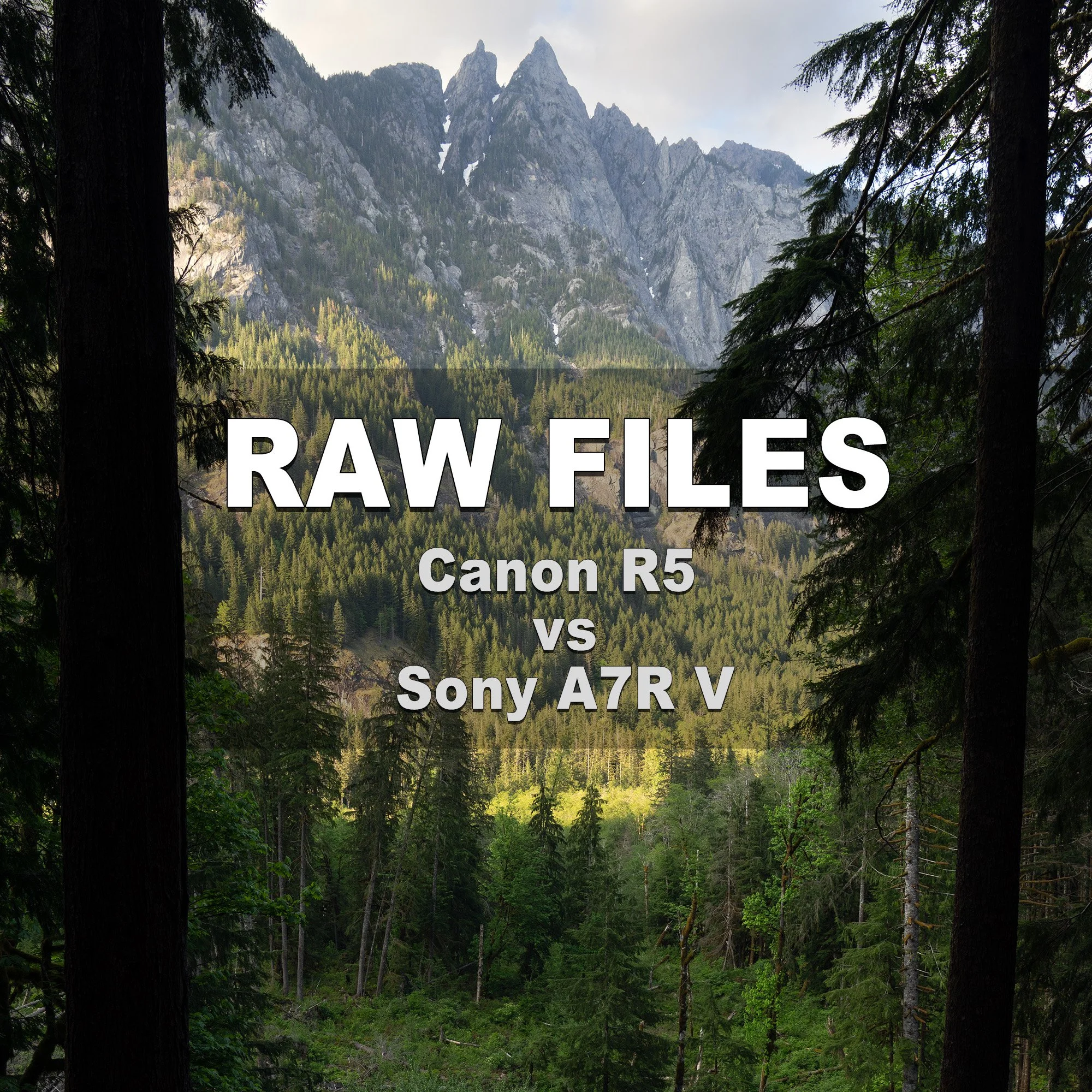RAW Files (Canon R5 vs Sony A7R V)