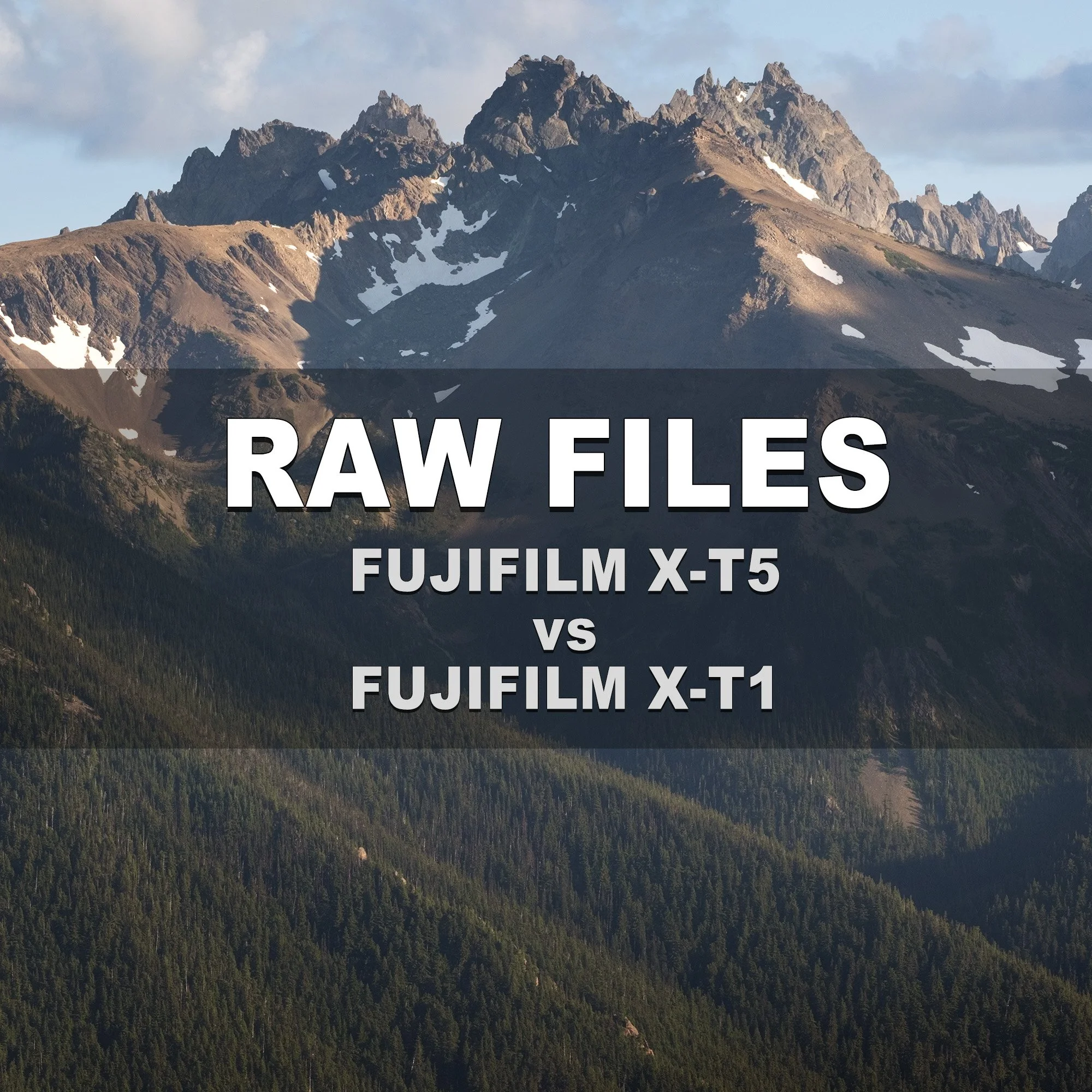 RAW Files (Fujifilm X-T5 vs X-T1)