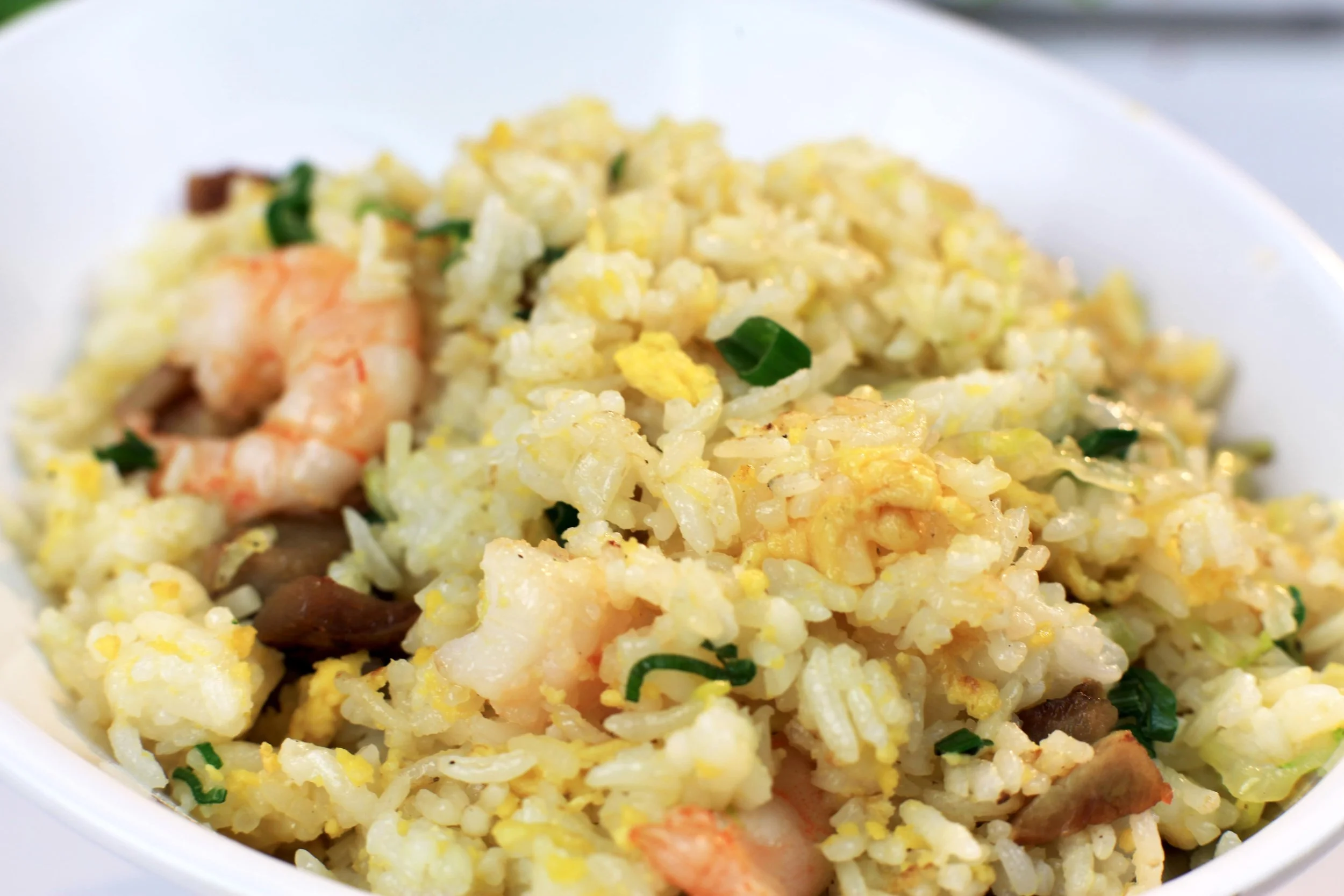 楊洲炒飯Special fried rice (1)-min.jpg