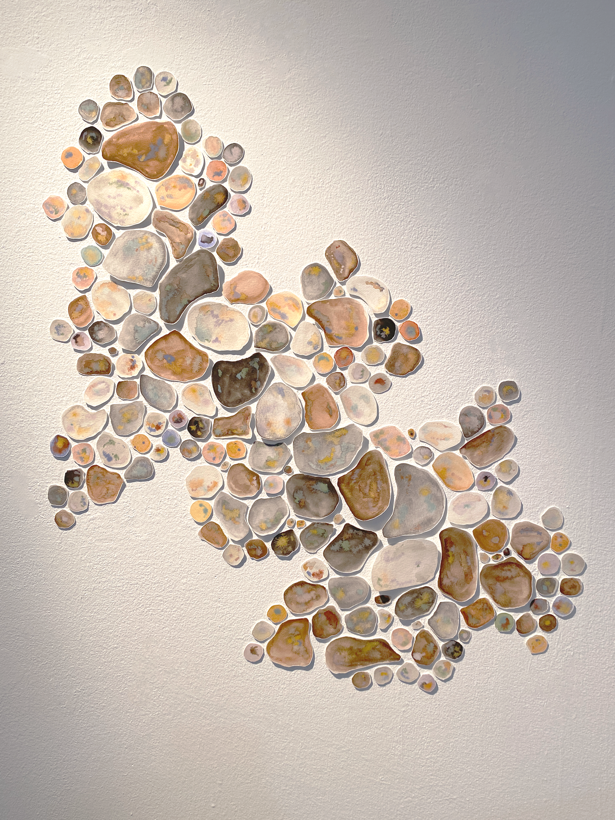 Soil Pebbles