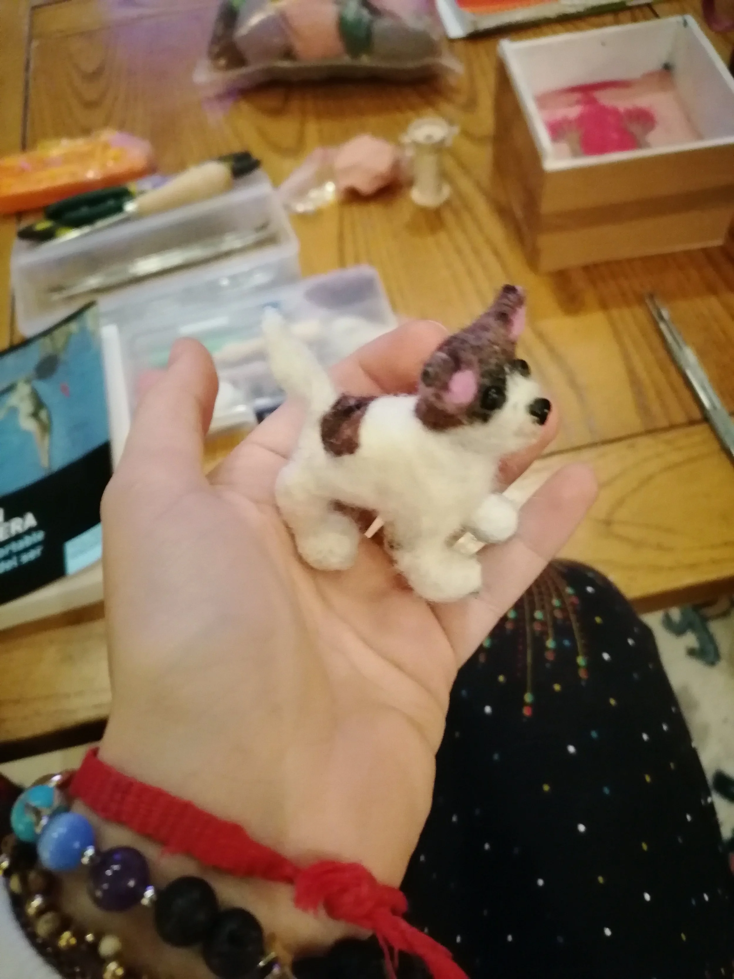 Copy of IMG_20211116_183749.jpg