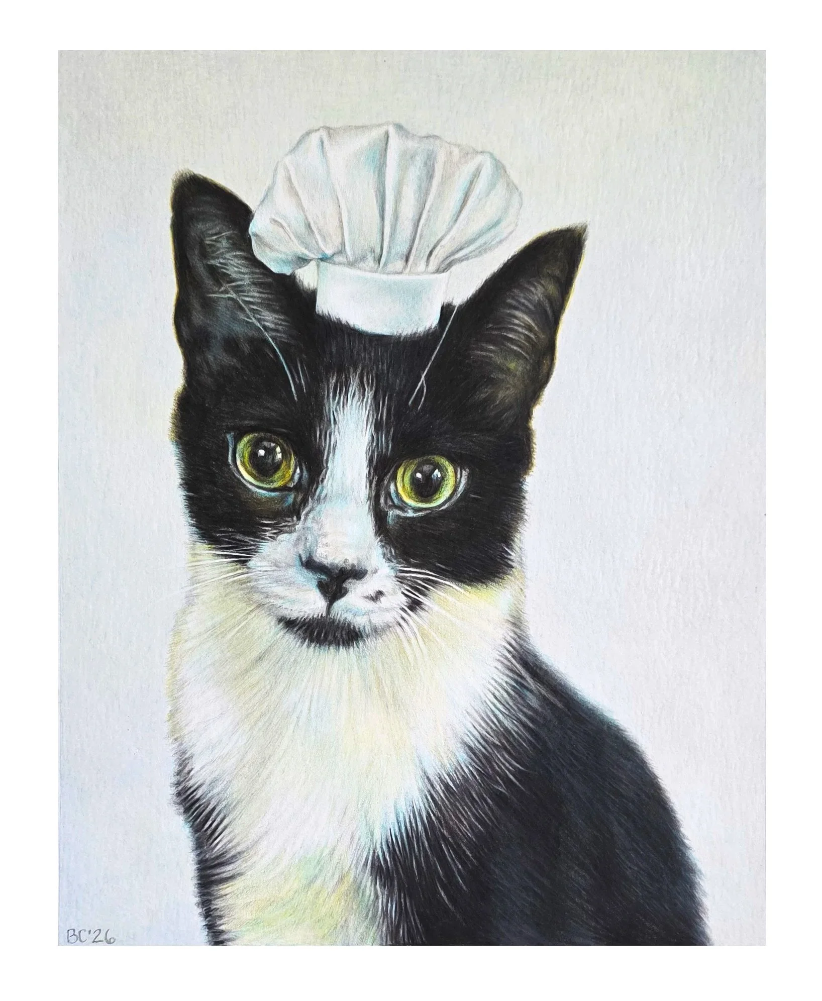 Pet Portrait 2026, 8" x 10" Colored pencil on archival paper.