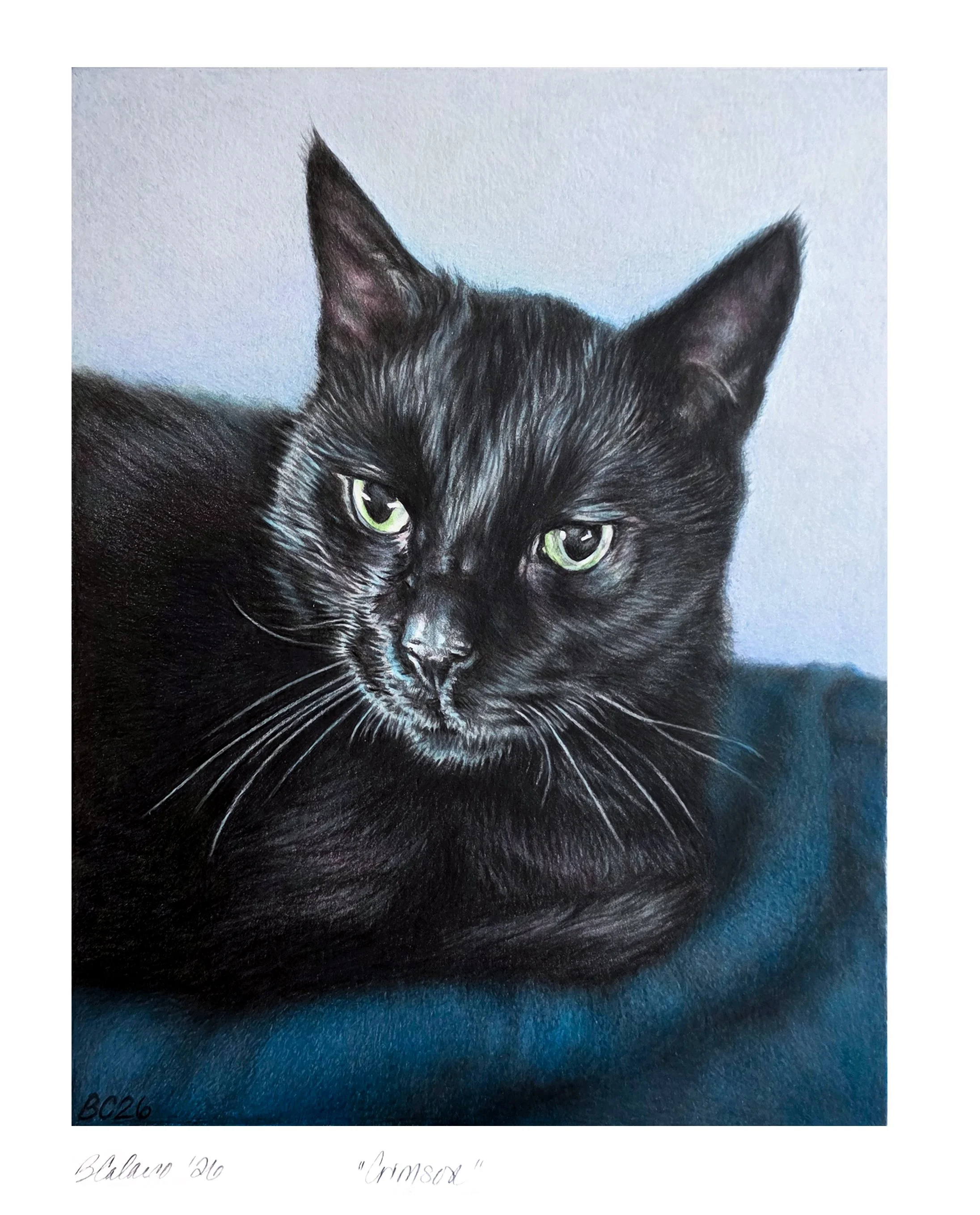 Pet Portrait 2026, 8" x 10" Colored pencil on archival paper.