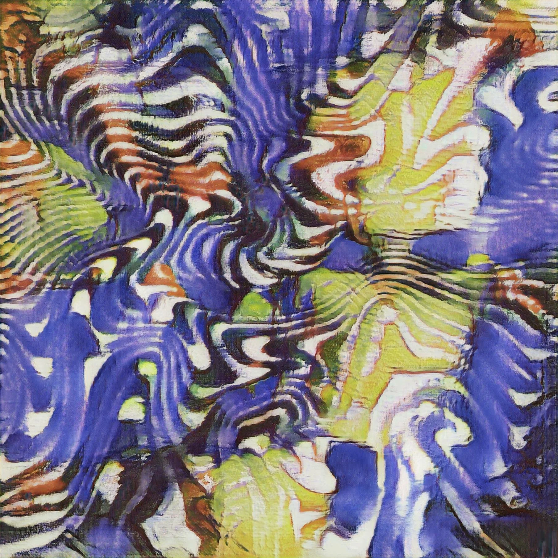 Aden_Johnson_illusion 4-peploe.jpeg