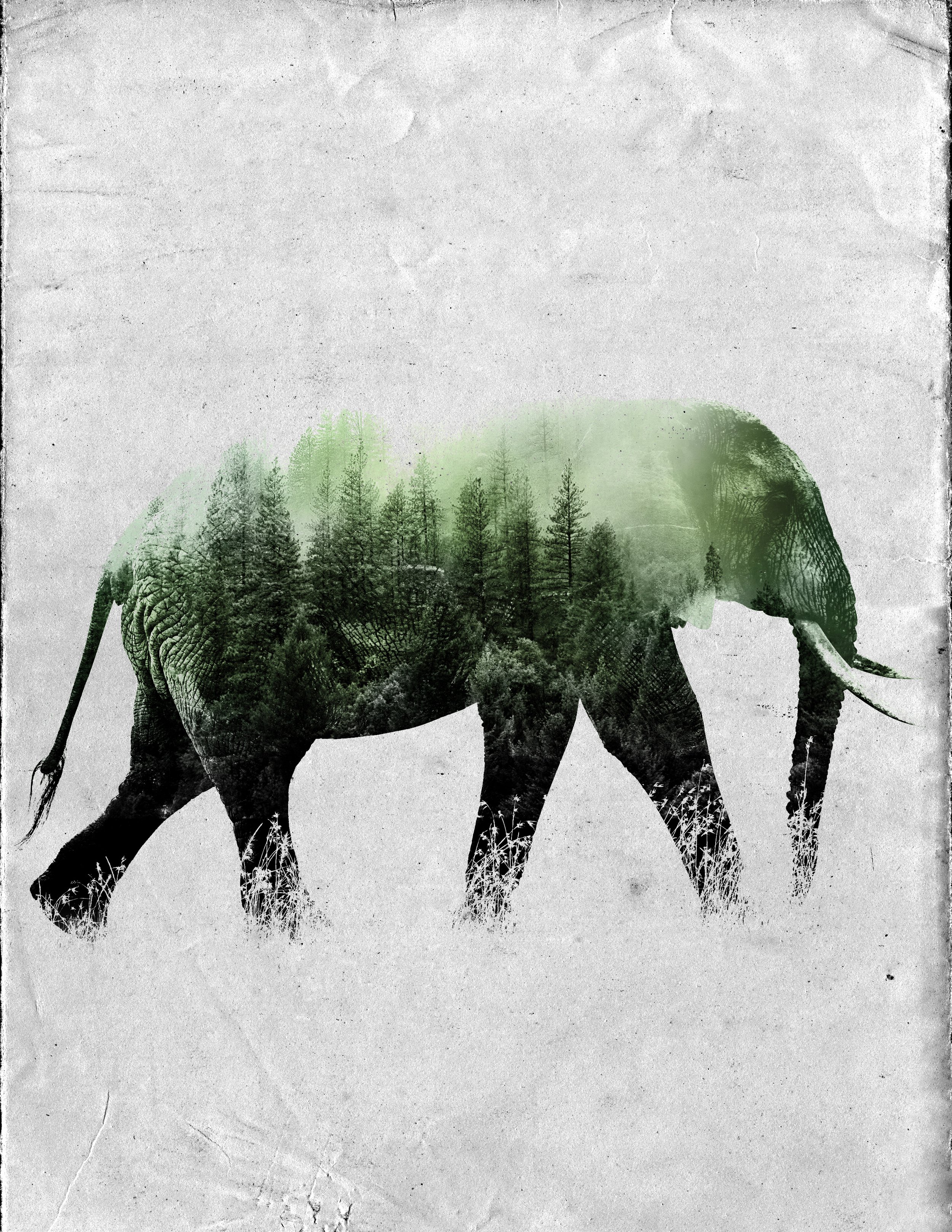 DoubleExposure-Elephant.jpg