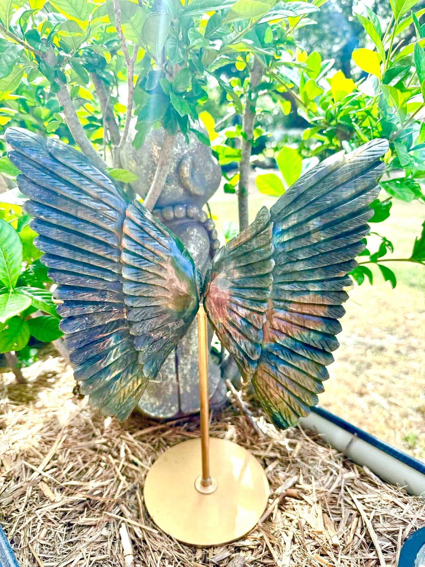 🌈 Giveaway! Win these incredible Labradorite Angel Wings, 1.295kg of Pure Magic! 🪽🪽🪽

My incredibly generous friend @  Giftby has given me these incredible crystal wings with $699 to give away on my Universe Amaze Me Facebook page. 

Head over th