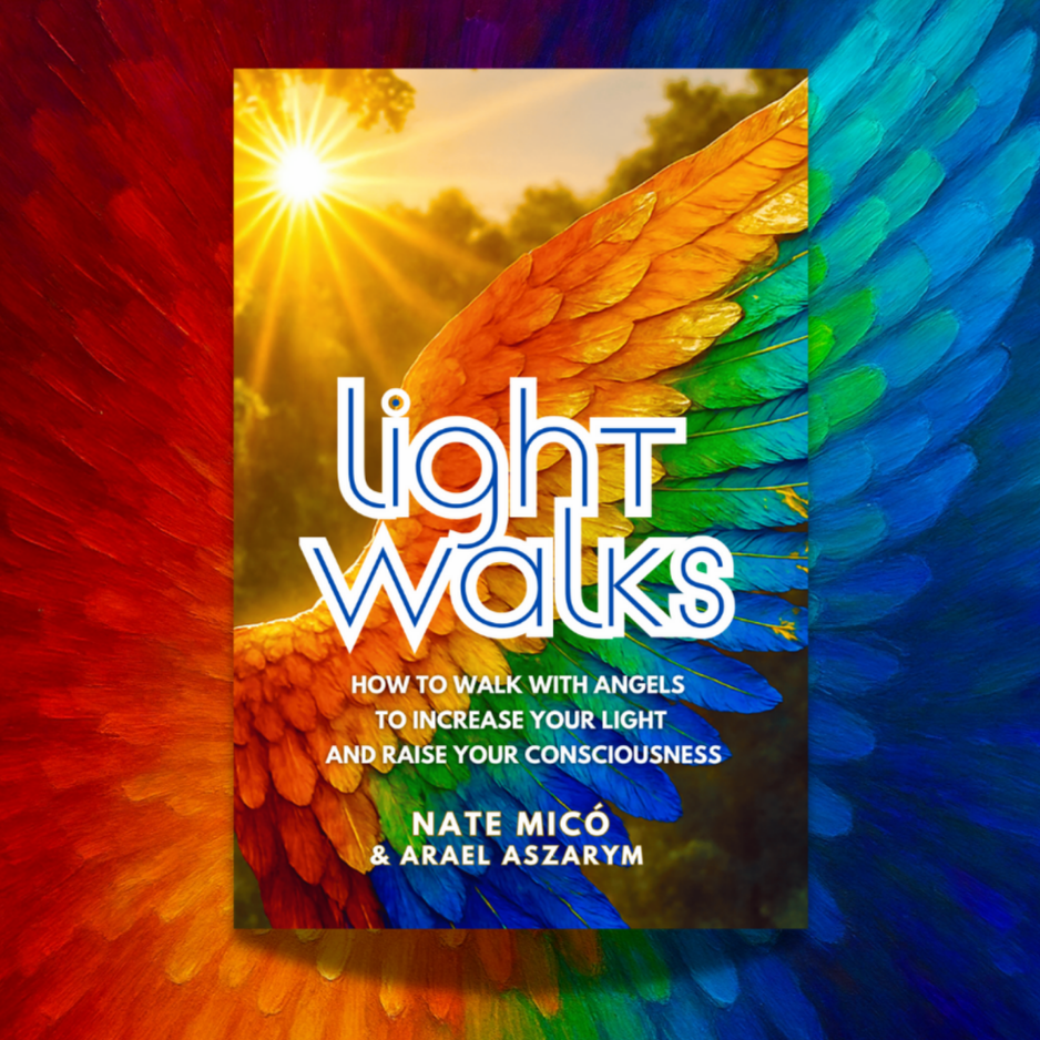 Light Walks book cover by Nate Mico and Arael Aszarym