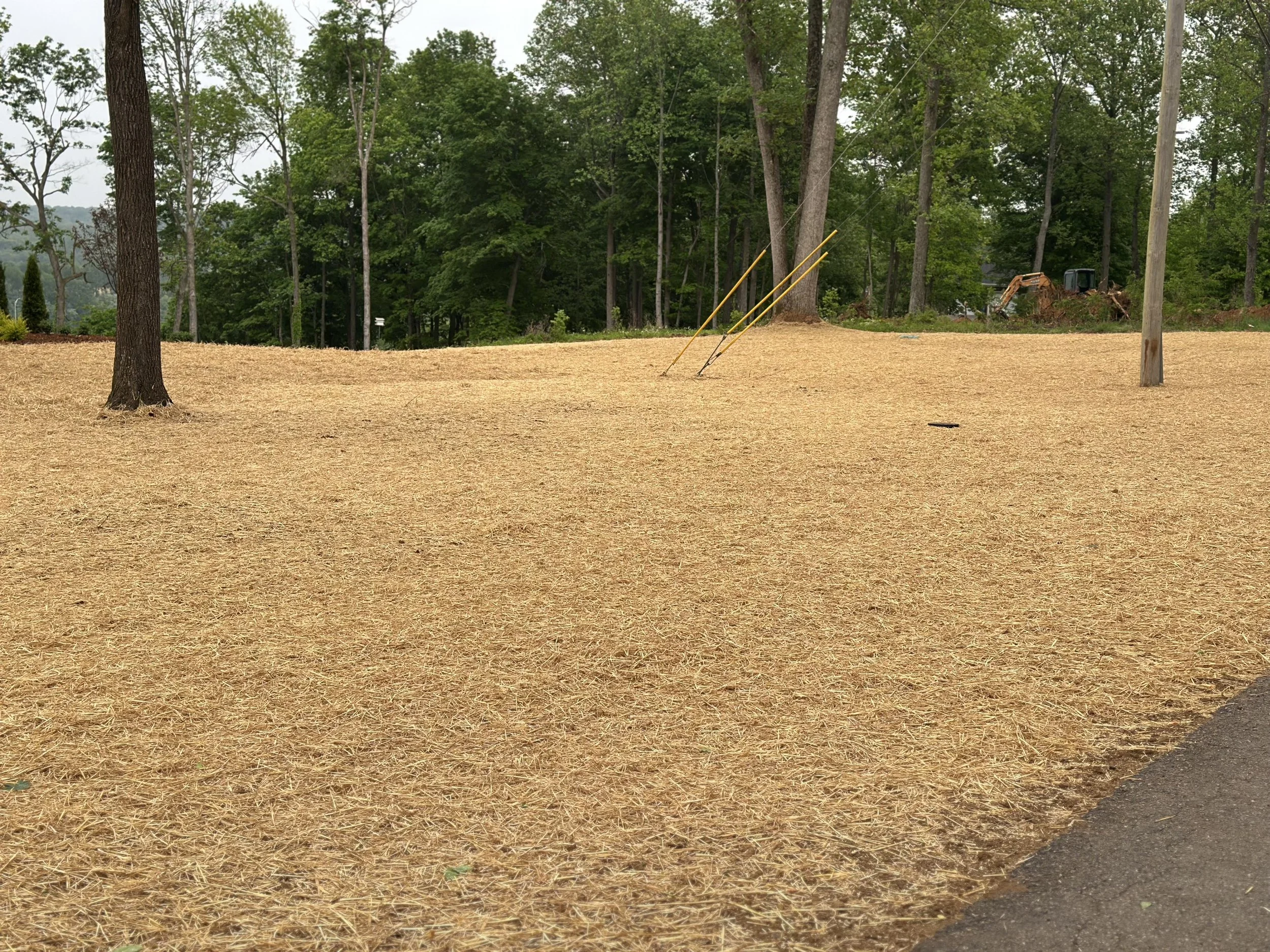 Seed & Straw
Brandenburg, Kentucky
