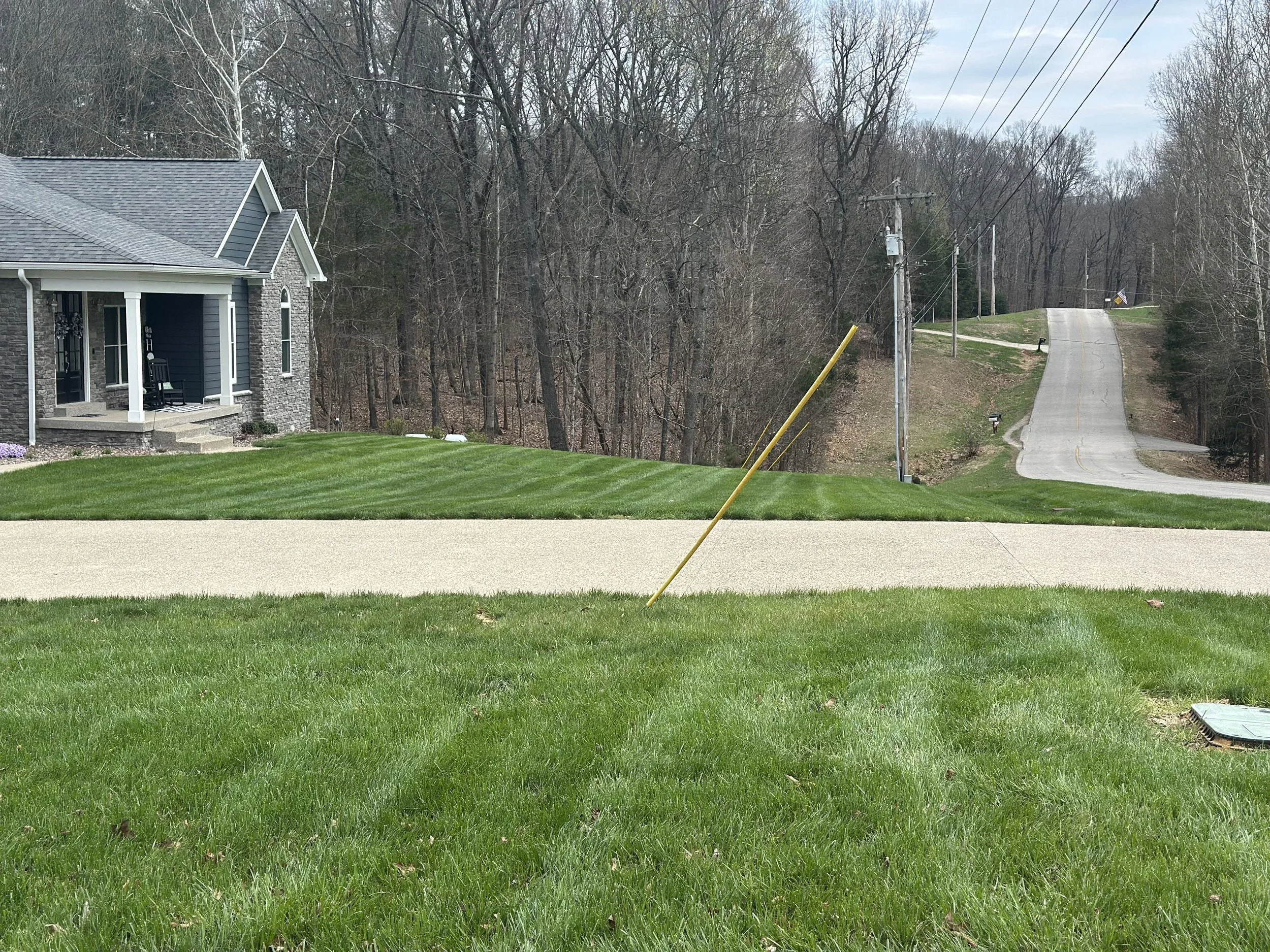 Turf type tall fescue, lawn treatments - Doe Valley, Kentucky