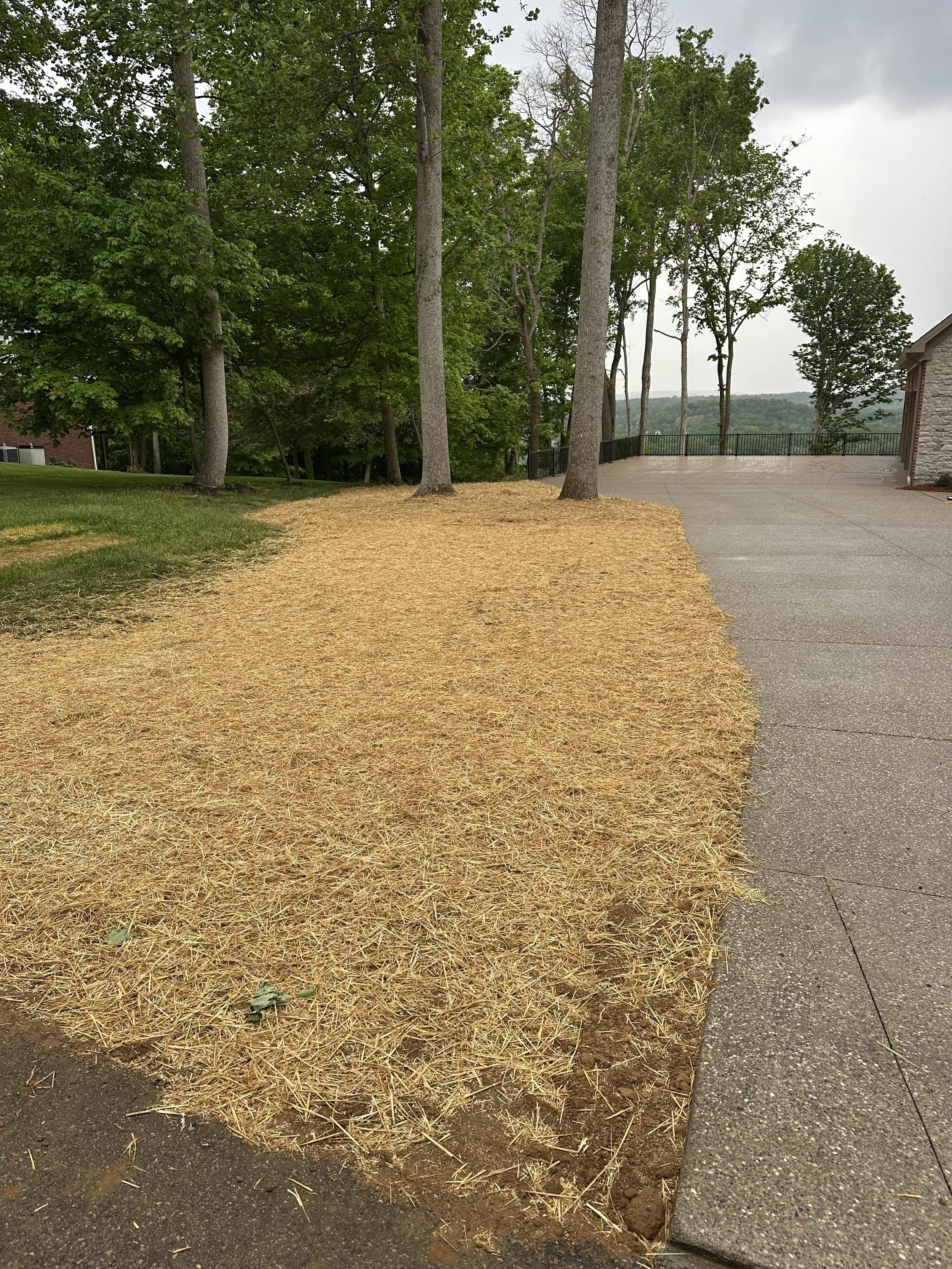 Landscaping
Seed & Straw
Rivers Edge Subdivision
Brandenburg, Kentucky 40108