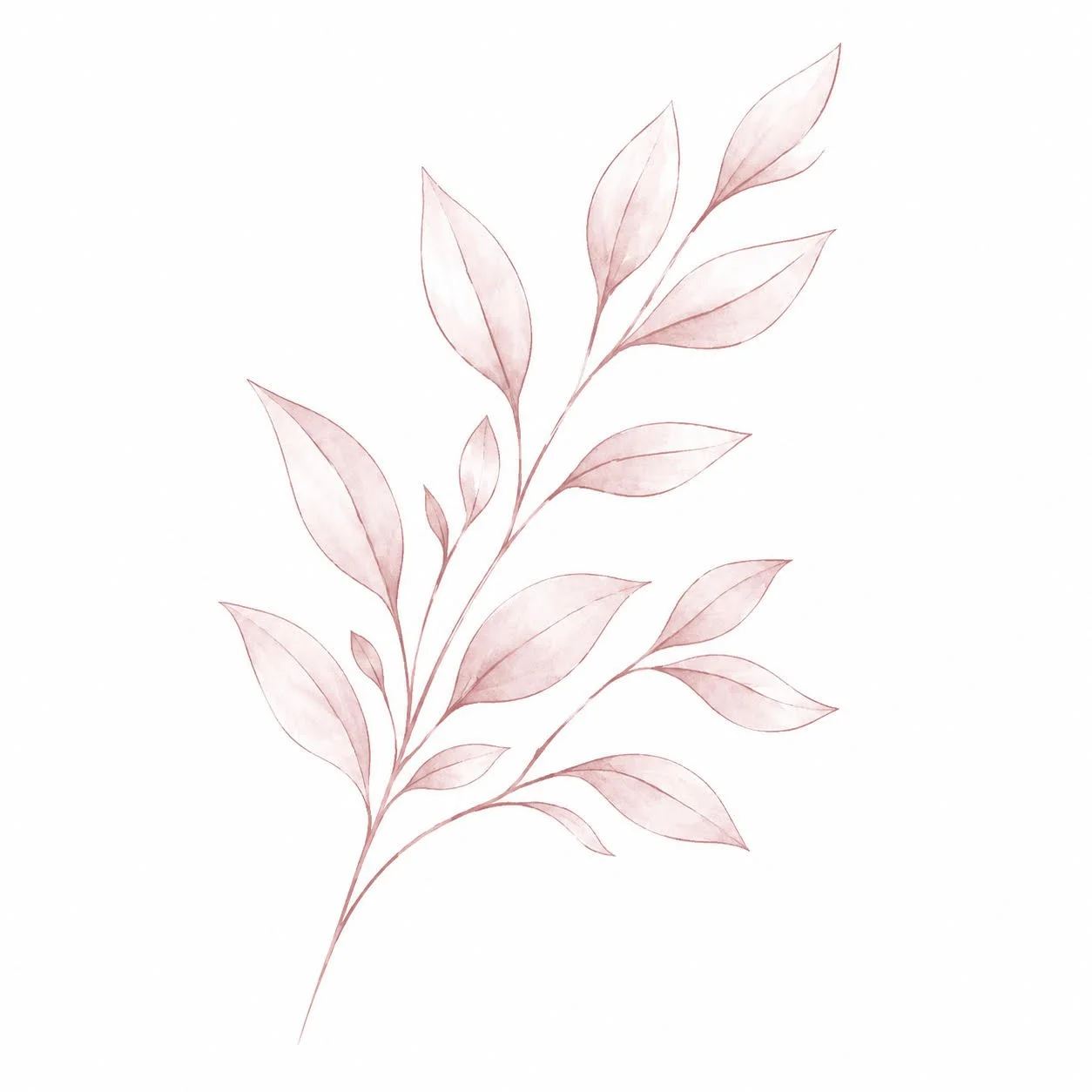 A digital illustration of a delicate branch with light pink leaves on a white background.