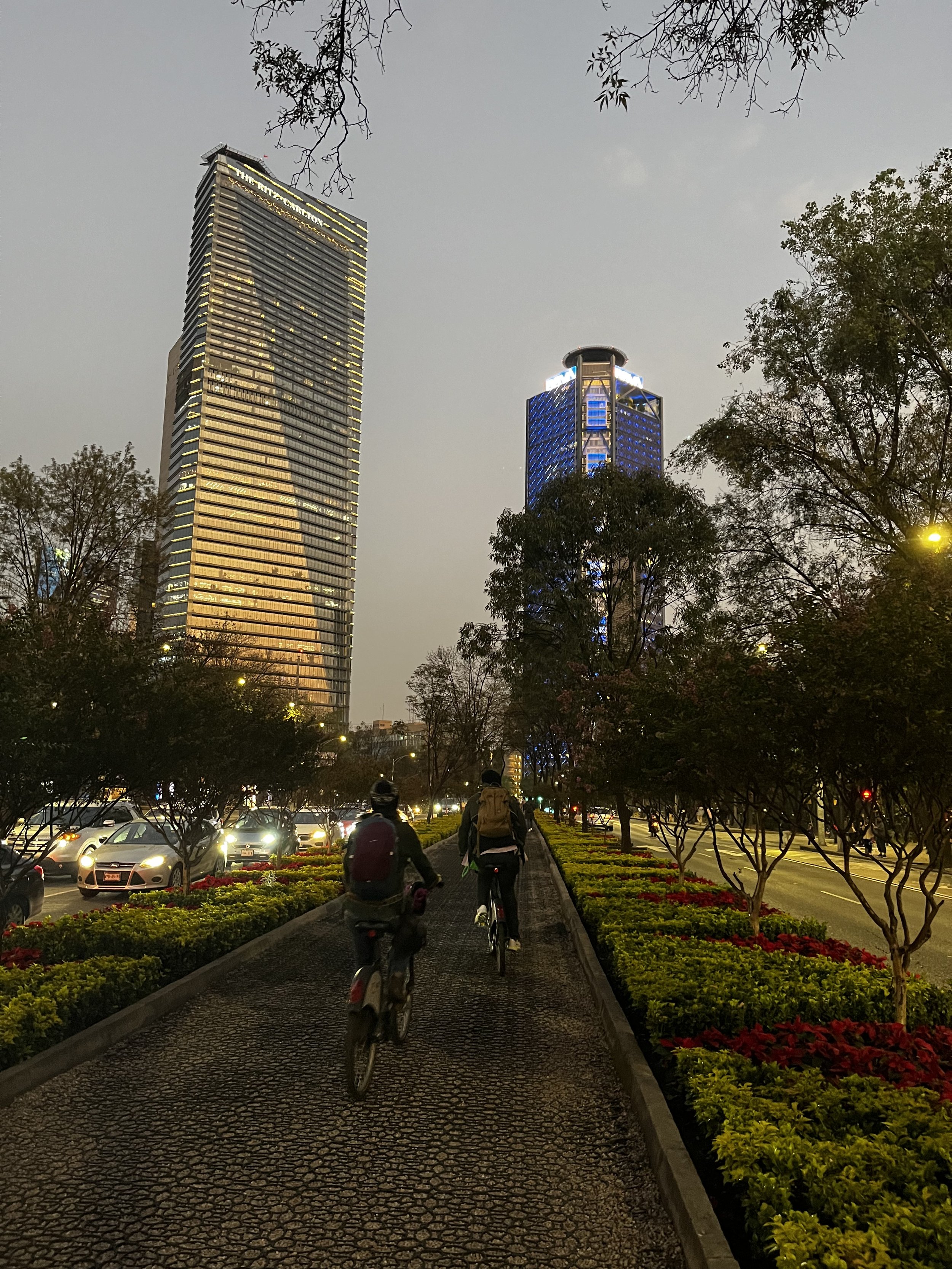Two bikers gliding down the Paseo de la Reforma.