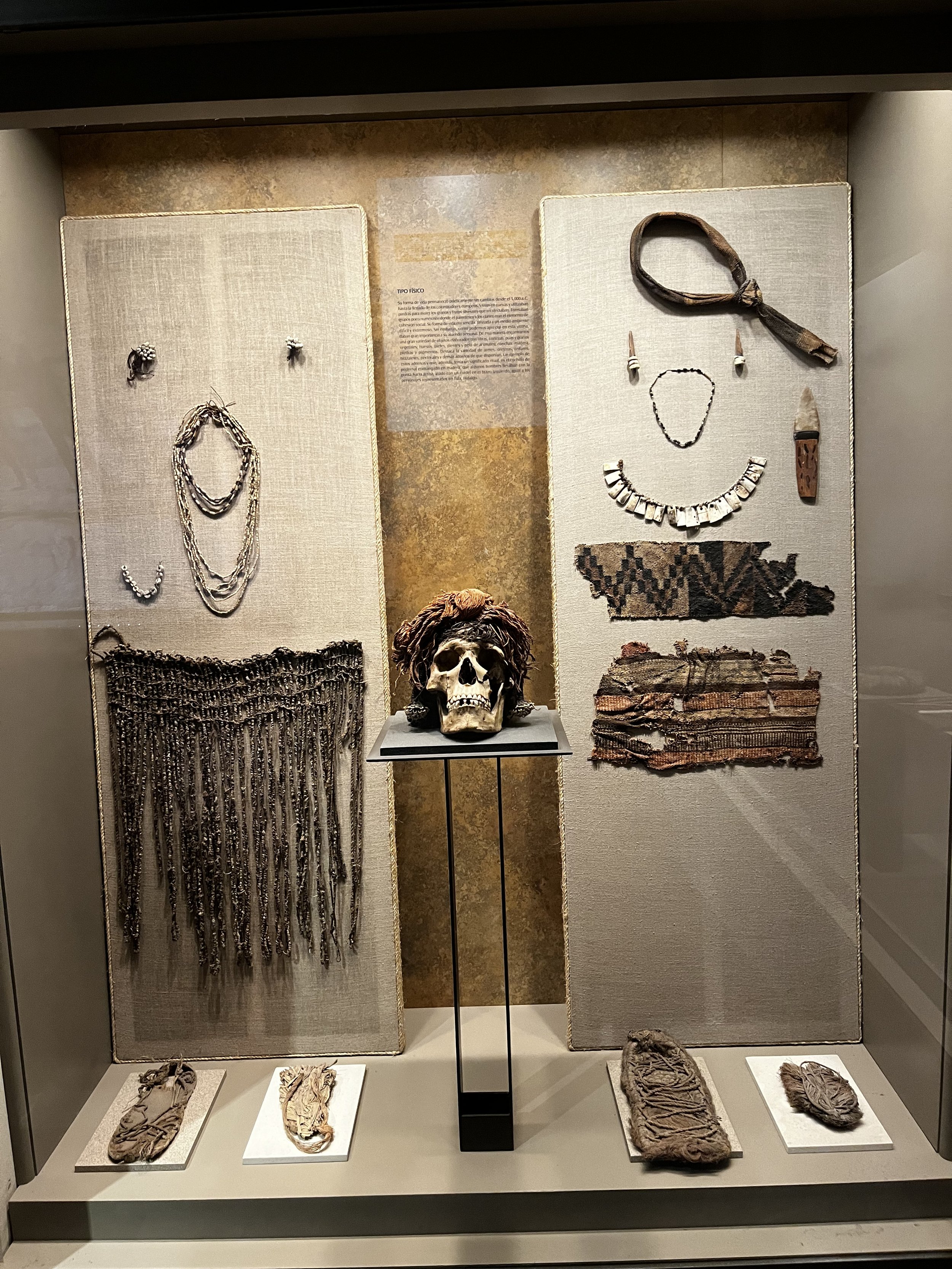 Artifacts at the Anthropology Museum.