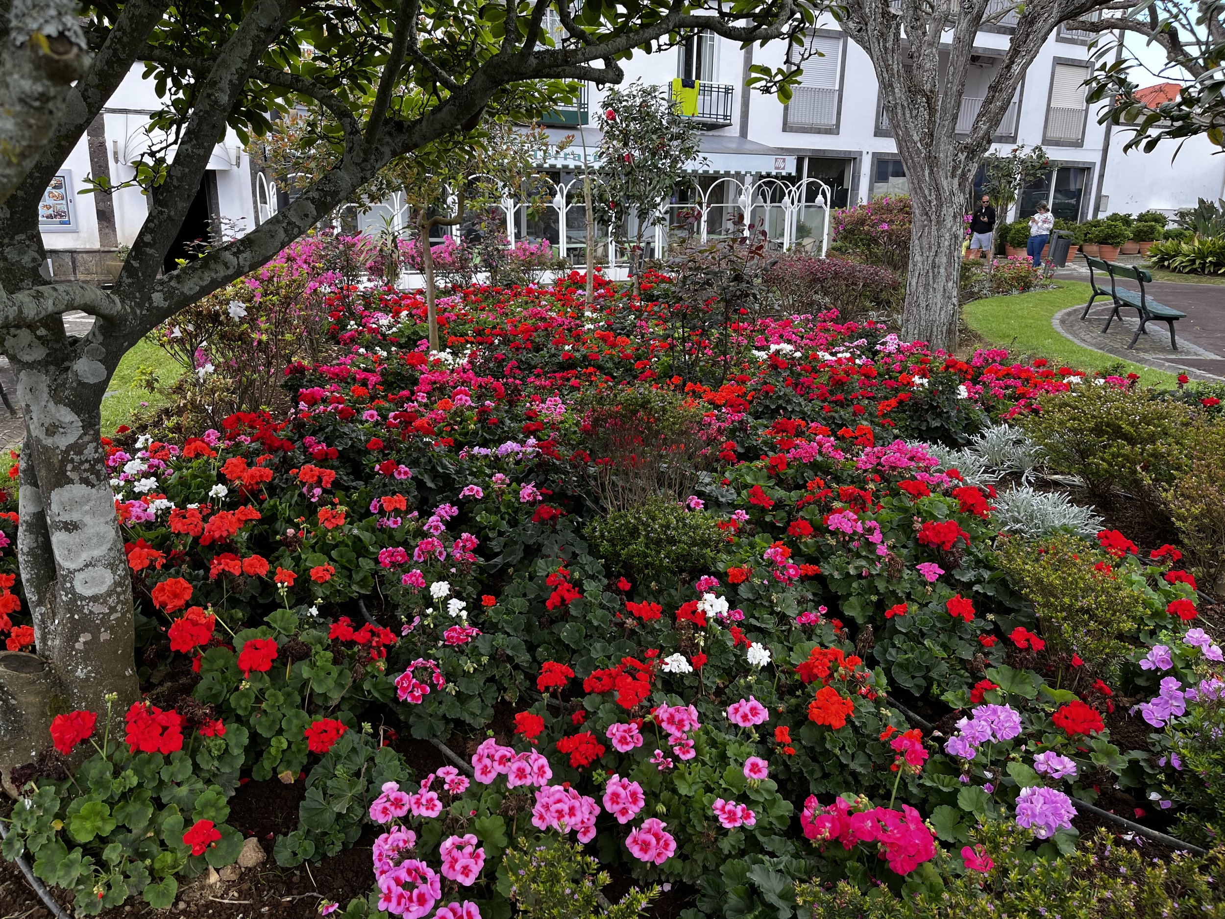 So many colorful spring flowerbeds.