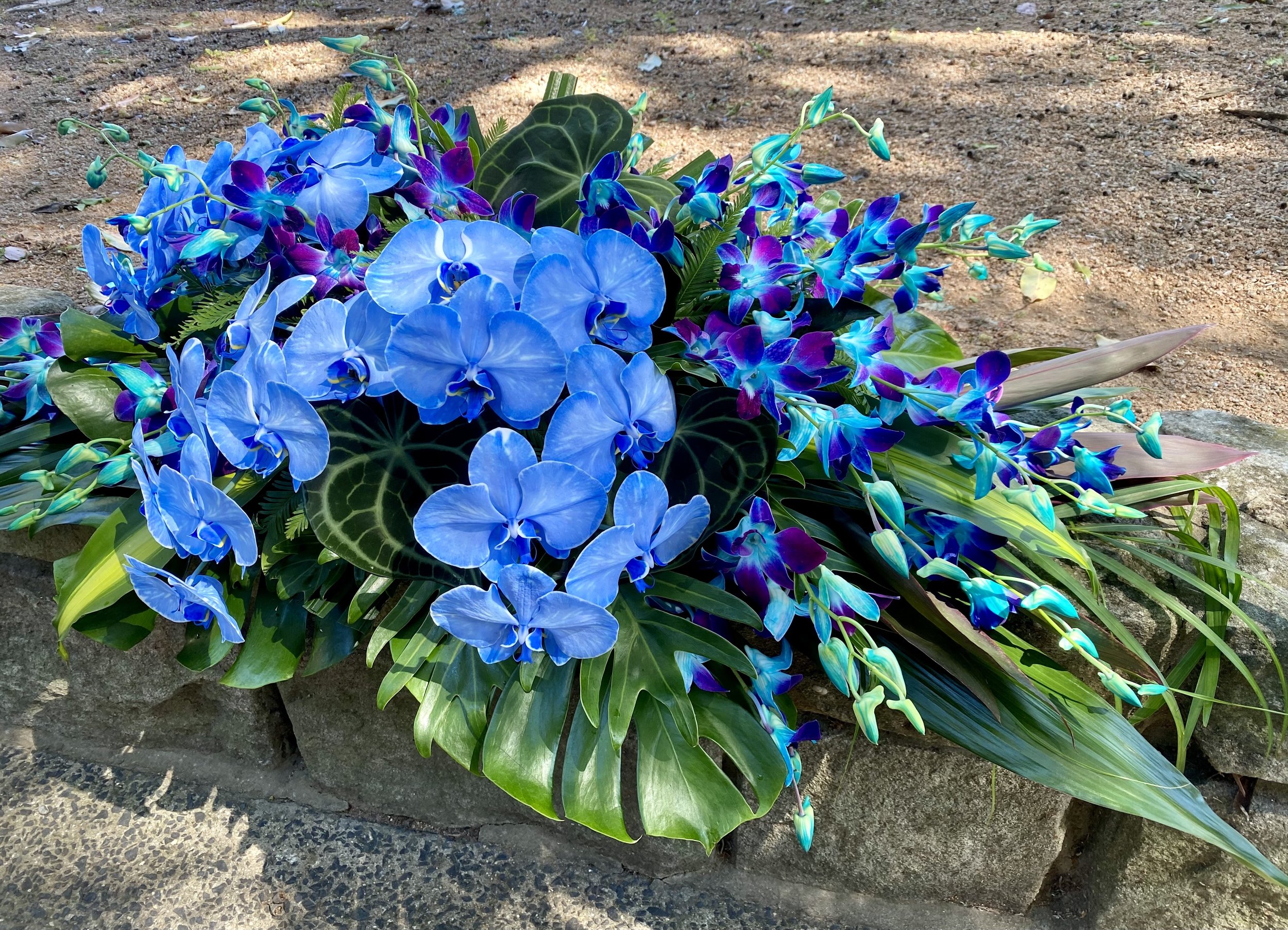 All Blue Tropical