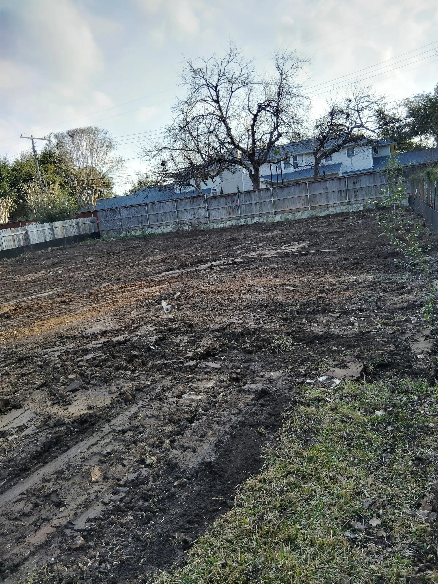 A dirt-covered backyard with a wooden fence and leafless trees in the background.