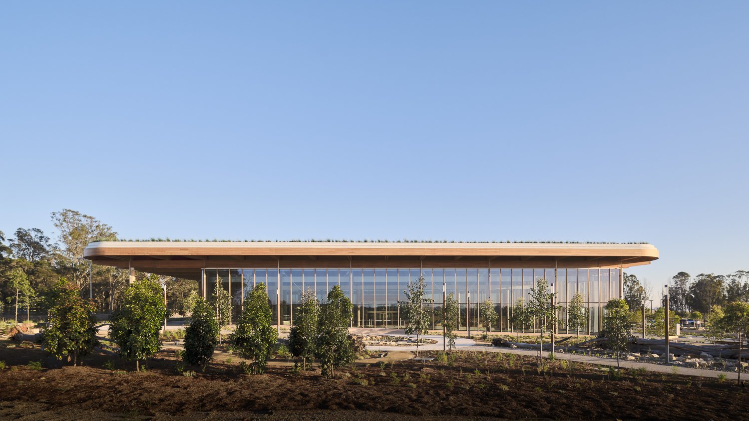 AMRF FIRST BUILDING
HASSELL