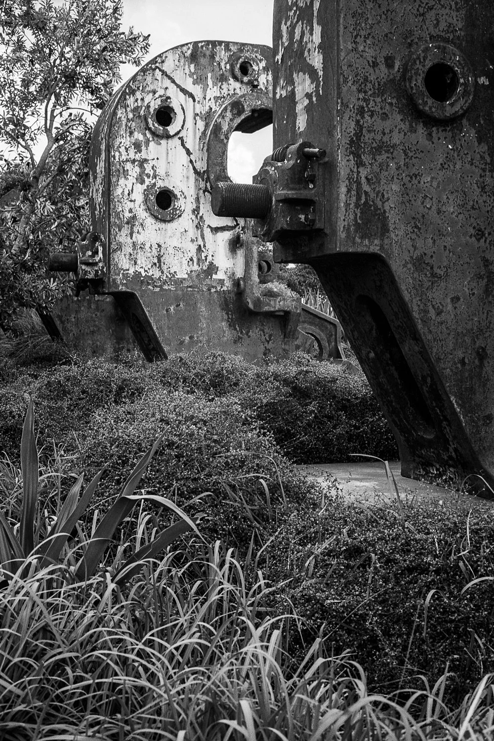 An old, rusty, and weathered large metal structure, possibly part of a machine or industrial equipment, surrounded by overgrown plants and bushes. The scene is in black and white.