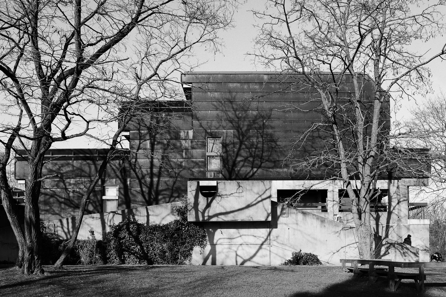 A black-and-white photo of a modern building with a textured facade, surrounded by leafless trees casting shadows on the building and ground. A person is sitting on a bench to the right.